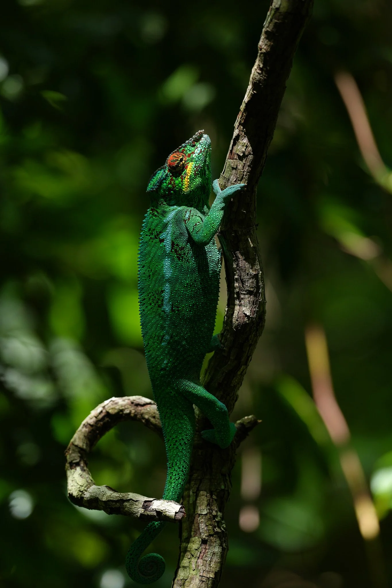 DSC02098-2.jpg
