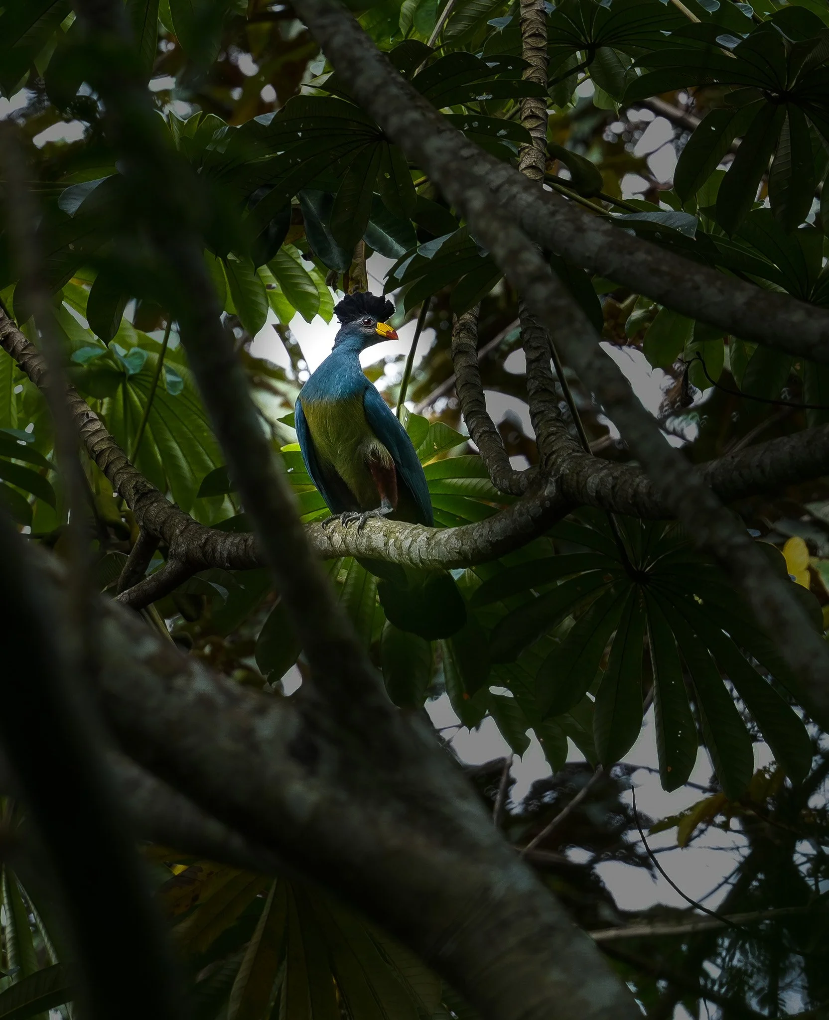 DSC03069.jpg