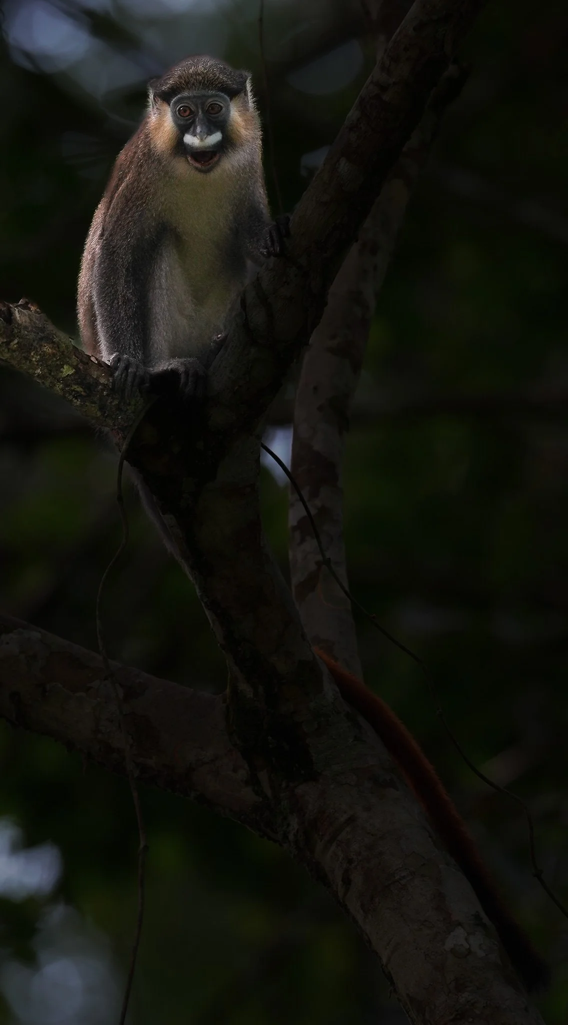 DSC08872.jpg