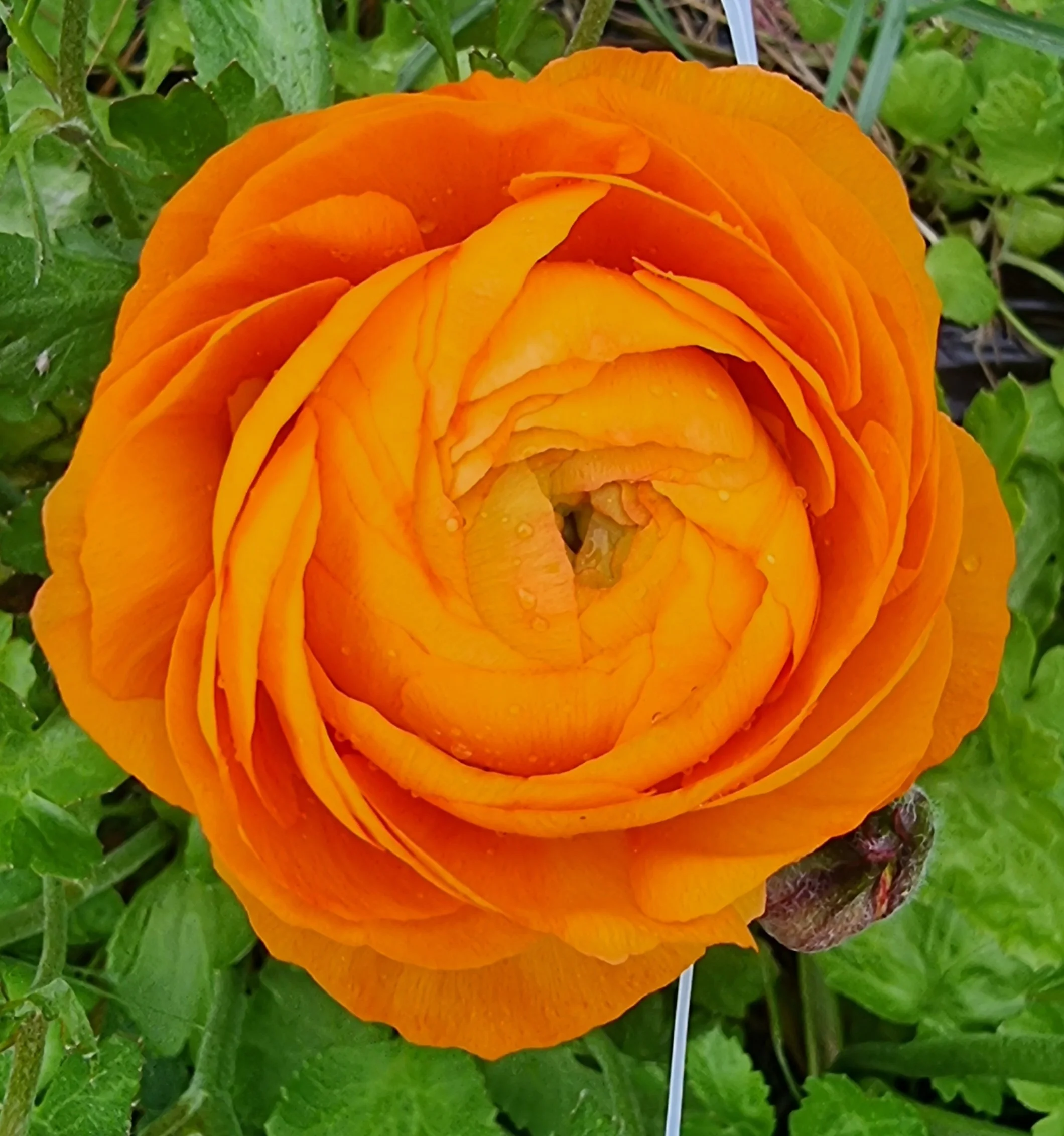 20251025_145548.jpg