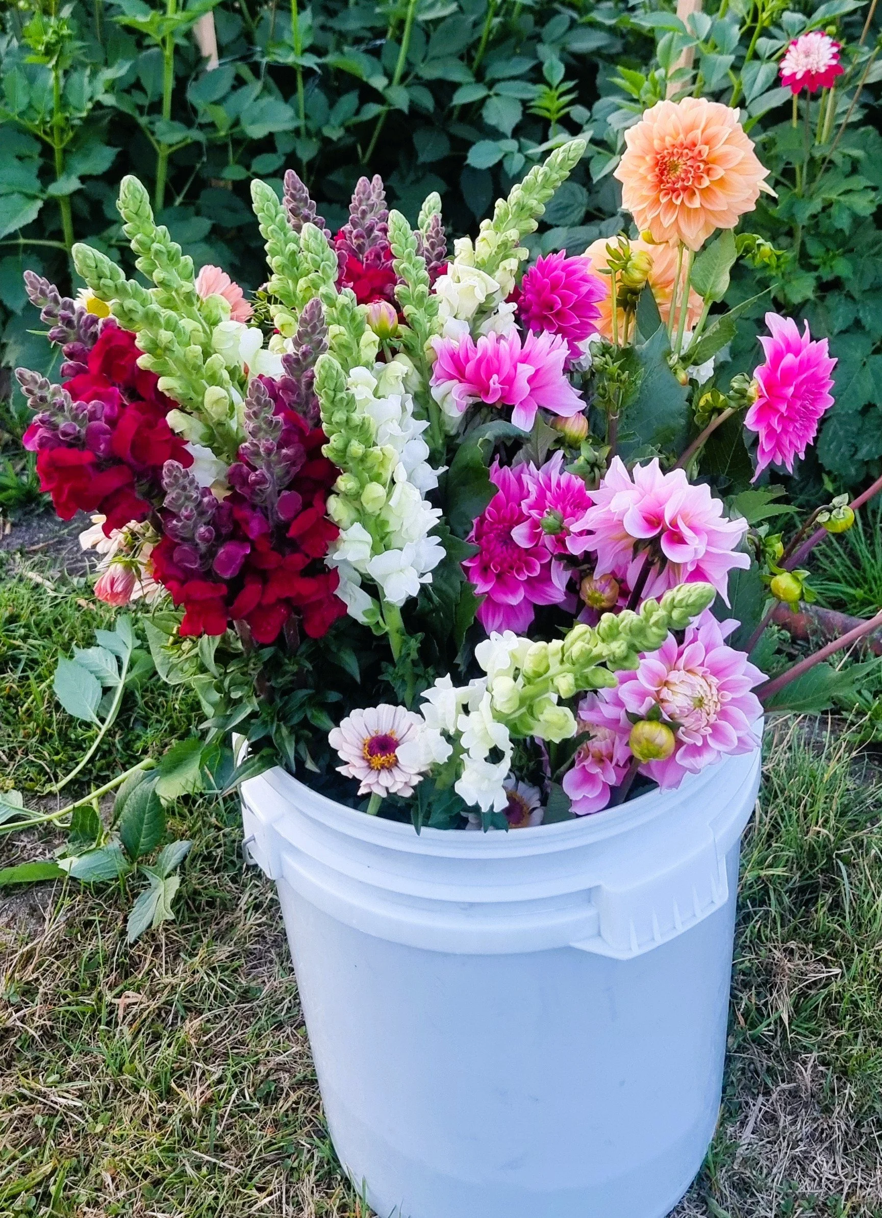 DIY Bucket of Blooms - Seasonal