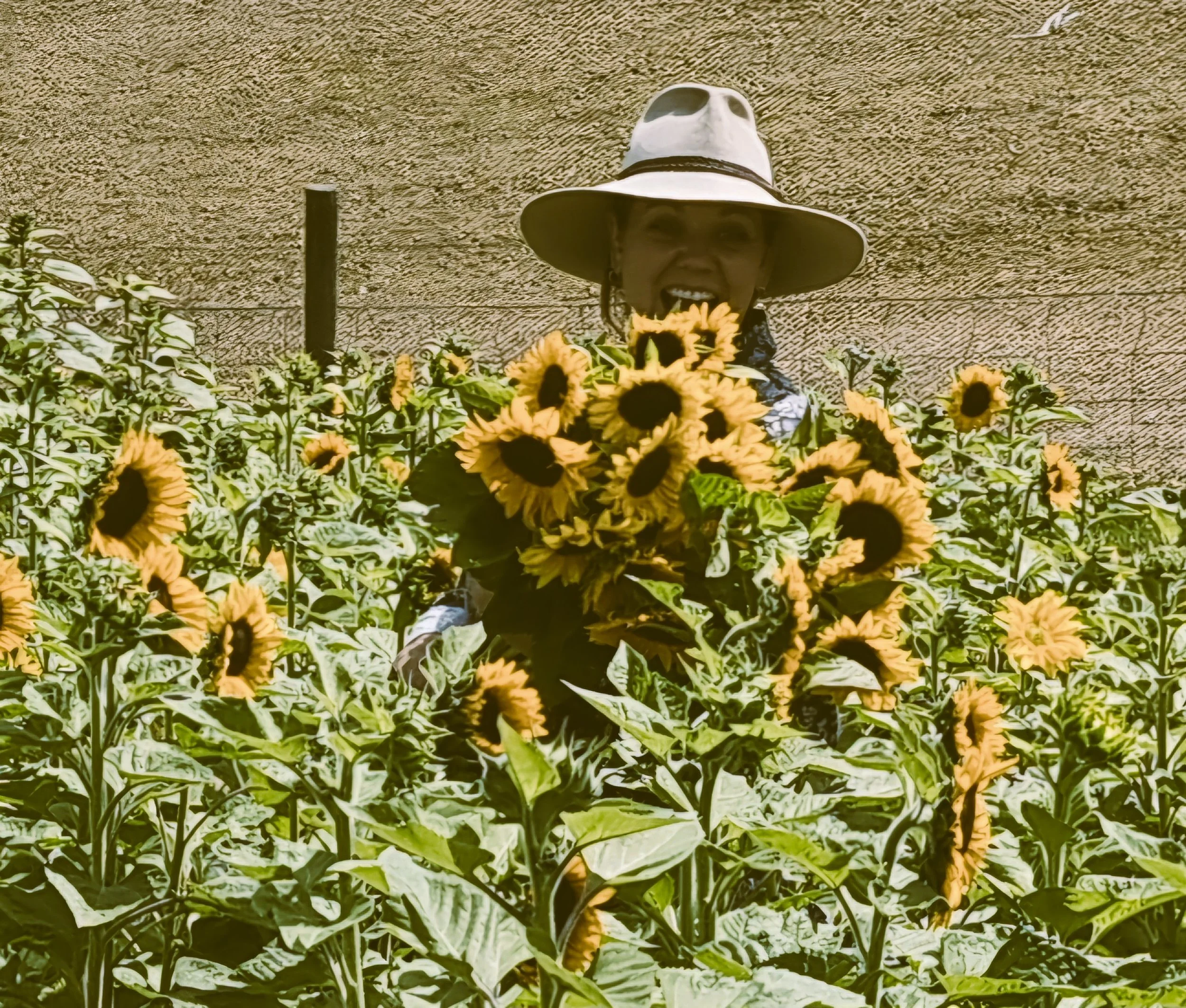 Person wearing a wide-brimmed hat and black bandana smiling in a sunflower field.