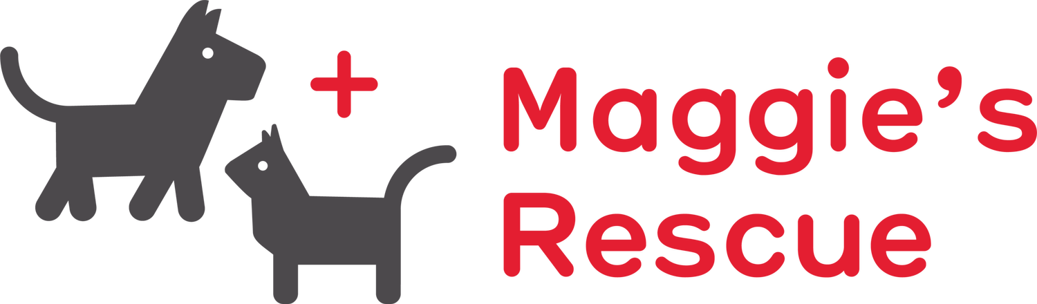 Art By Boaty donates 10% of every pet portrait to Maggie's Rescue, supporting cats and dogs in need