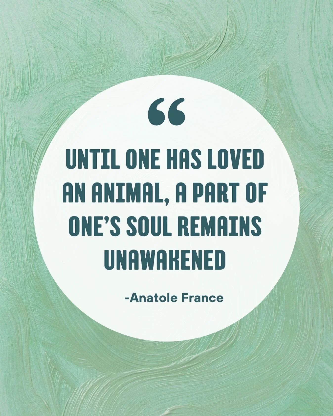 Who agrees? 🫶🐾

#petlovers #animallovers #catlovers #doglovers #petportrait #petpainting