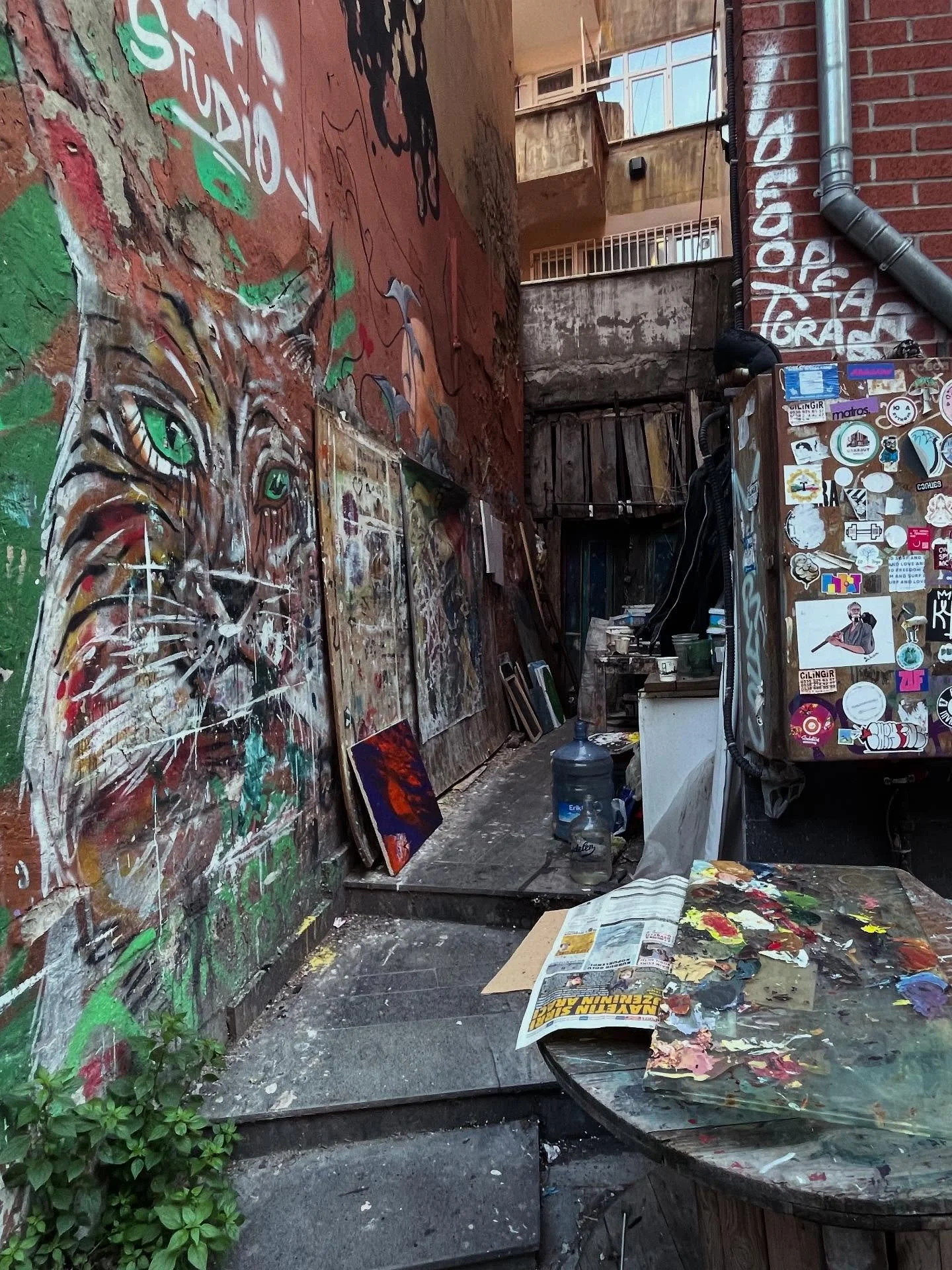 Just the coolest art studio I&rsquo;ve come across so far 😍

#artstudio #alfrescoart #alfrescoartstudio #painter #artist #instanbul #istanbulart #istanbulartist #outdoorartstudio #graffitiart #catart #outdoorart