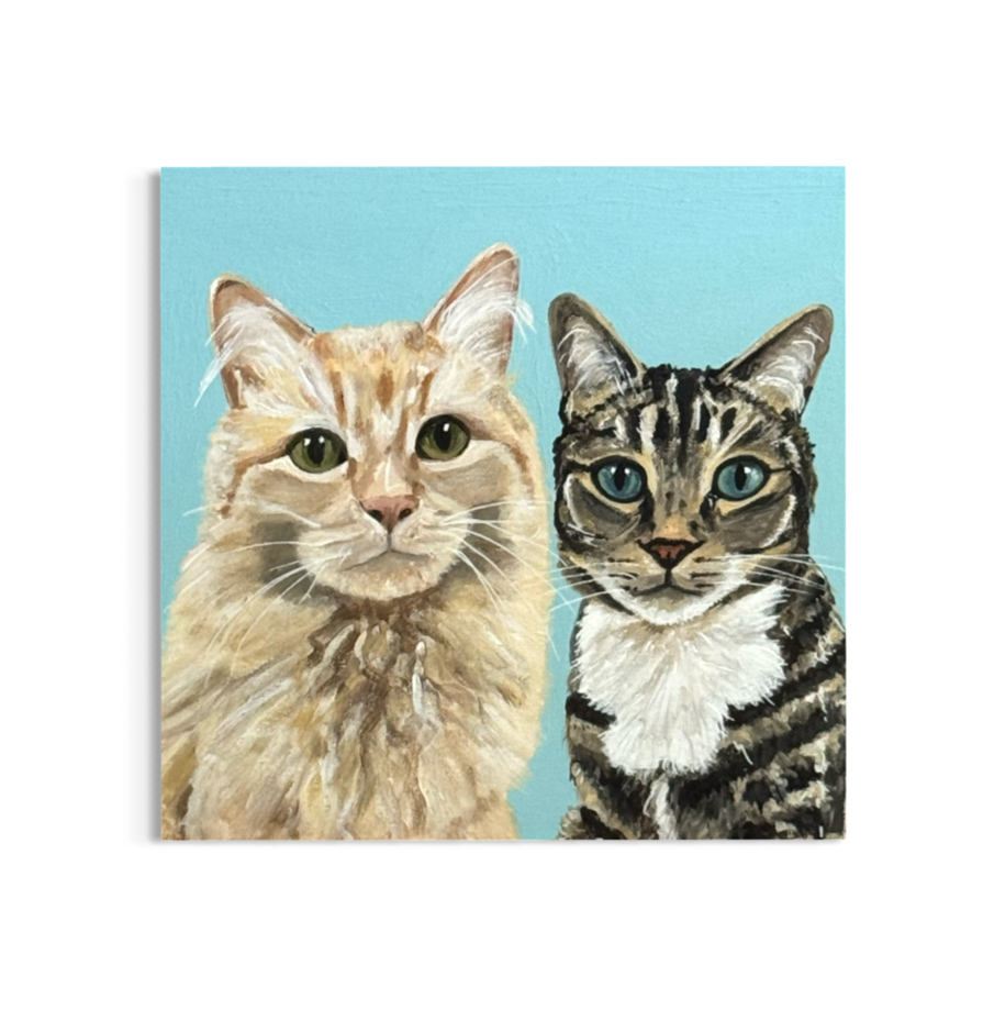 Two kitty cats
