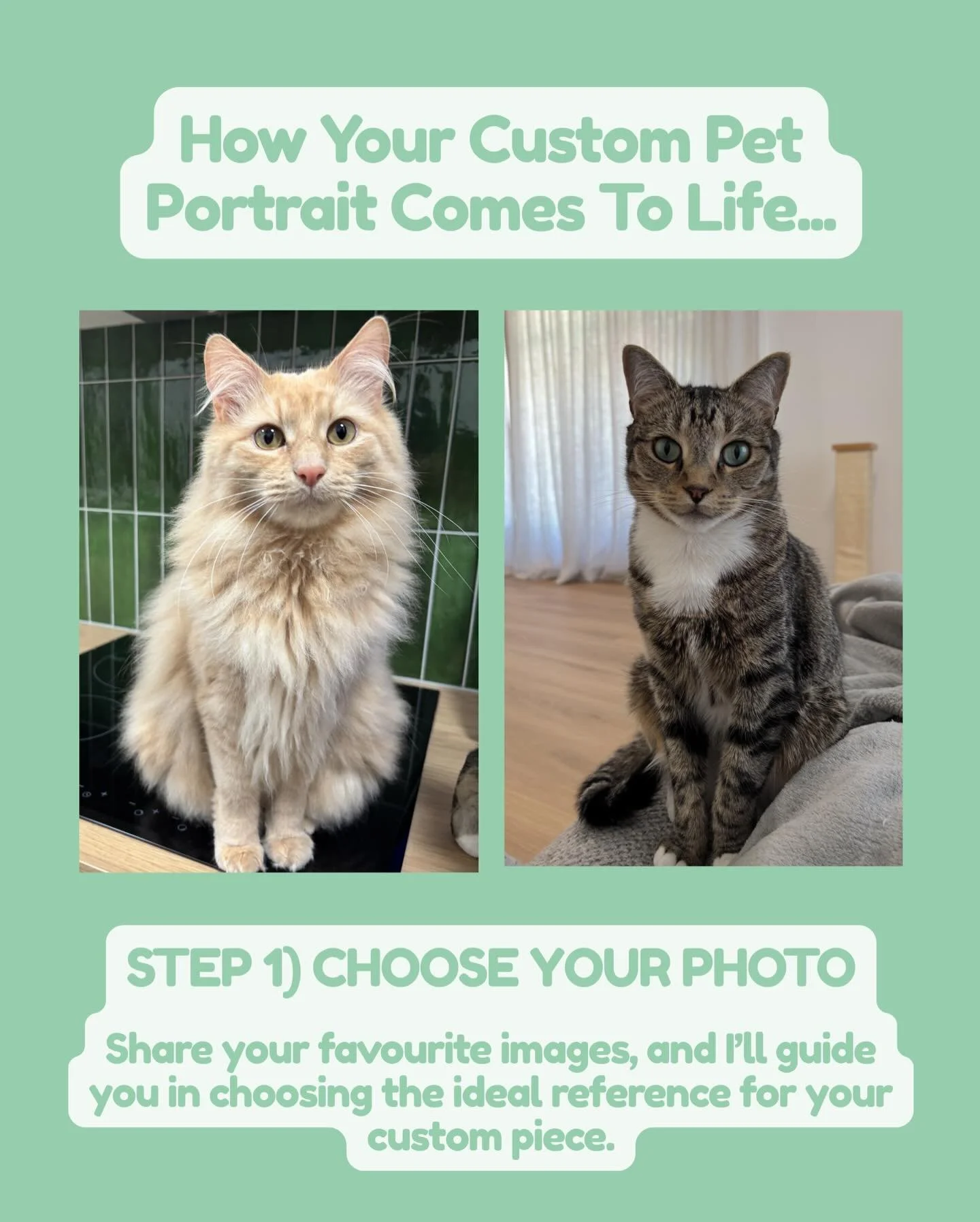This is how I turn your favourite moments into a hand-painted piece you can treasure forever 🐾

From choosing the photo -> to selecting the background colour -> to bringing your pet to life on canvas&hellip; you&rsquo;re part of the journey ev