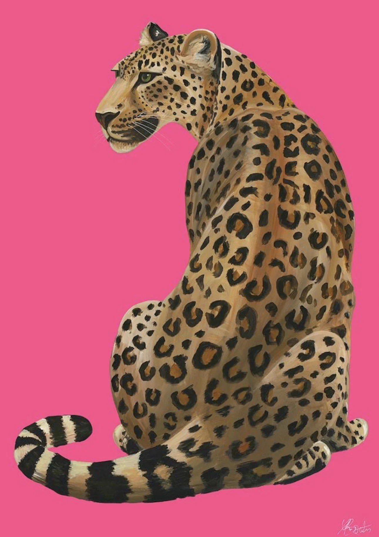 Bright Pink Leopard.jpg