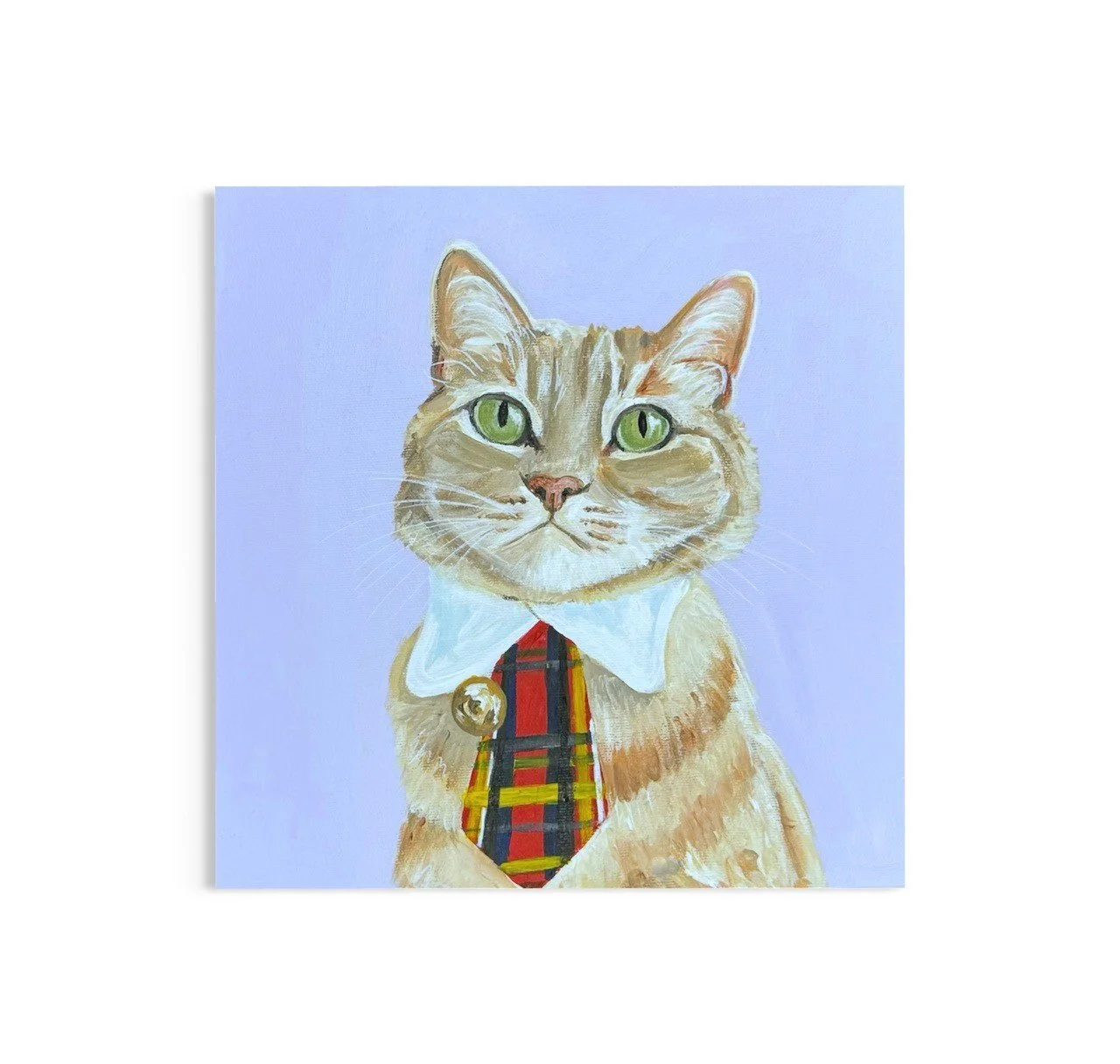 Noodle pet portrait white background.jpg