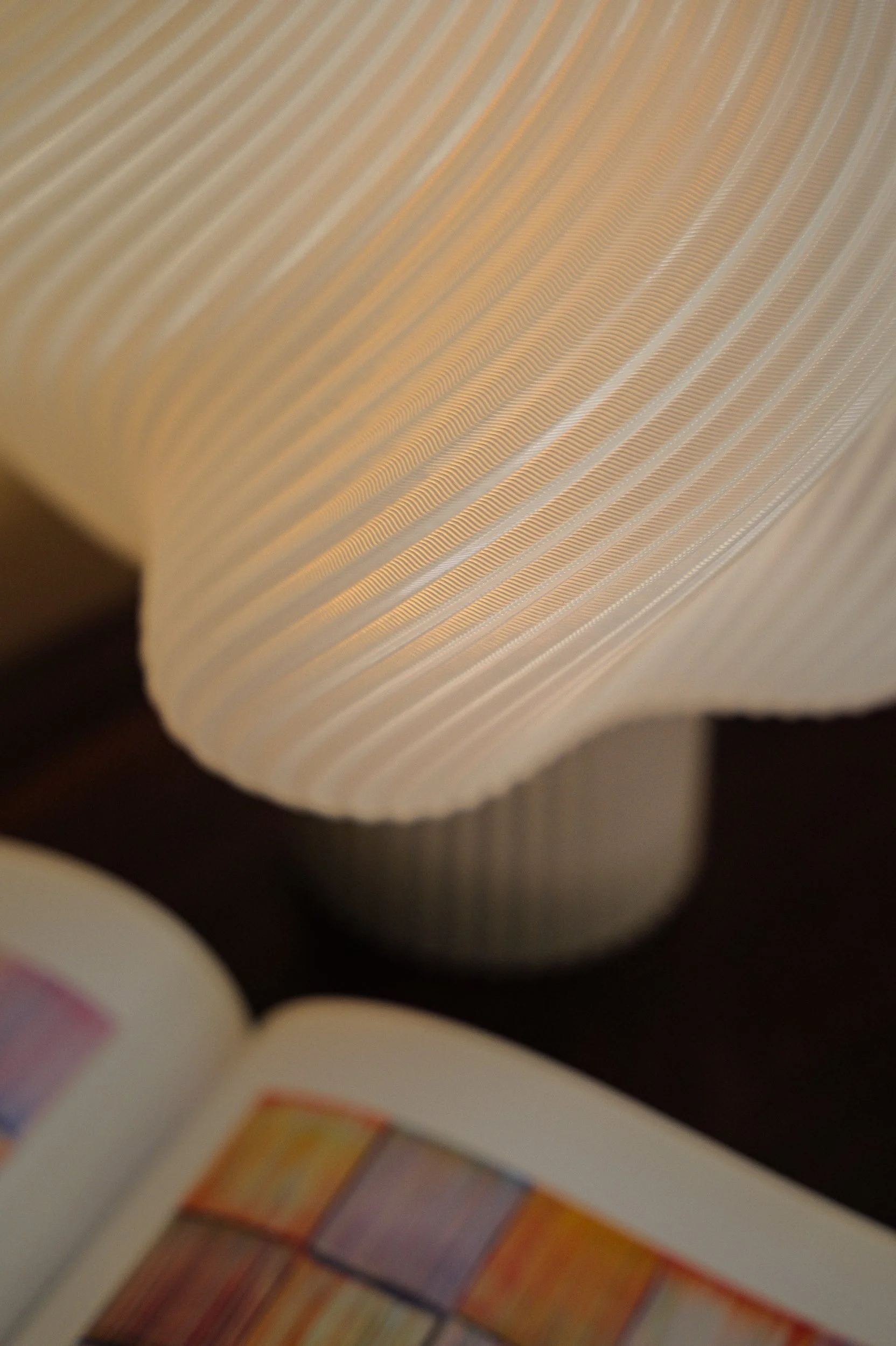 Nora Chou_Evolve 4.jpg