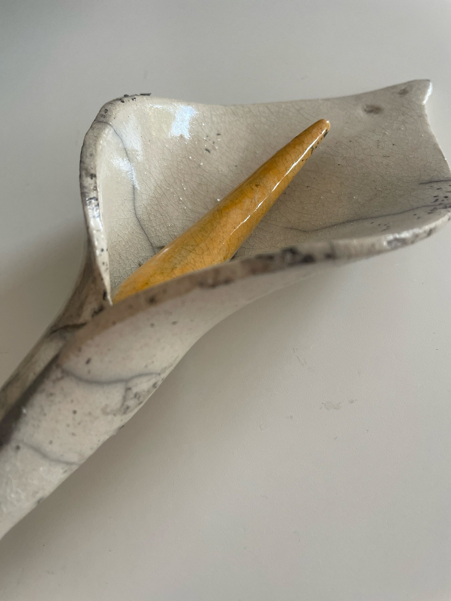 Ich habe nach einer Verabschiedung diese Blume &uuml;berreicht bekommen mit den Worten: &bdquo;Sie haben meine Erwartungen bei weitem &uuml;bertroffen! Es war so sch&ouml;n, ich war zu tiefst ber&uuml;hrt, Danke !&ldquo;
Dankbar f&uuml;r diese Worte 