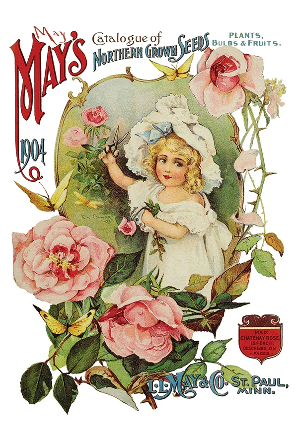 IOD Ephemeral Melange 3.webp