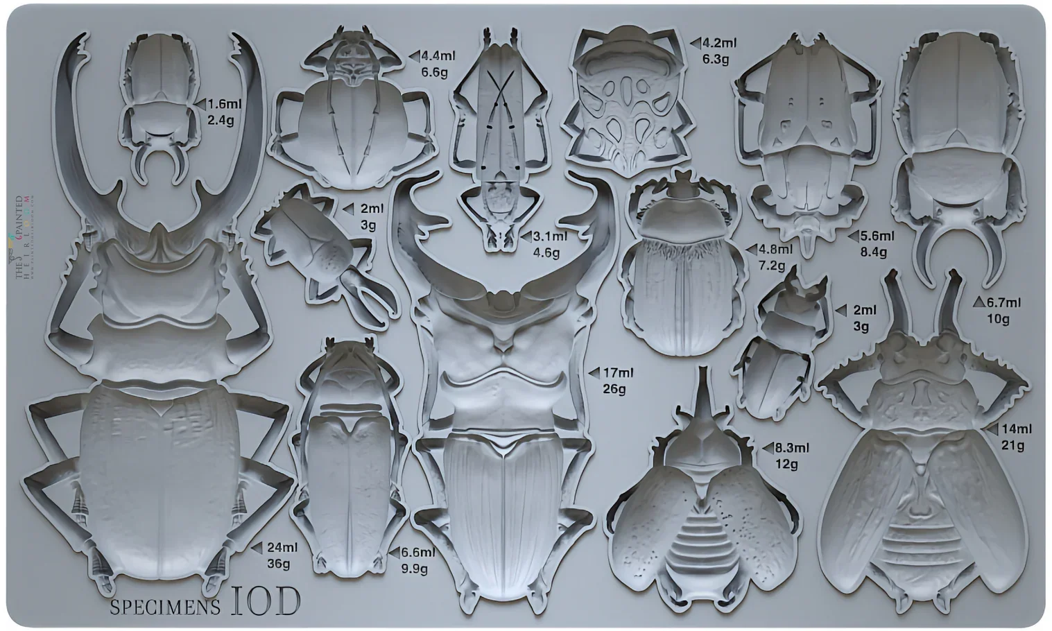 Specimens Mould by IOD - Iron Orchid Designs