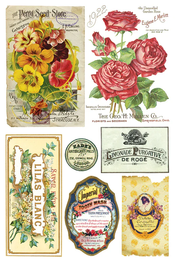 IOD Ephemeral Melange 5.webp