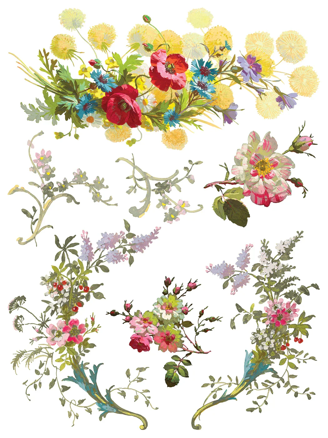 SAINT GERMAIN 4.webp