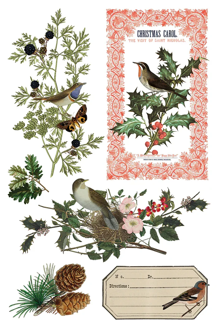 WINTER BOTANIST 2.webp