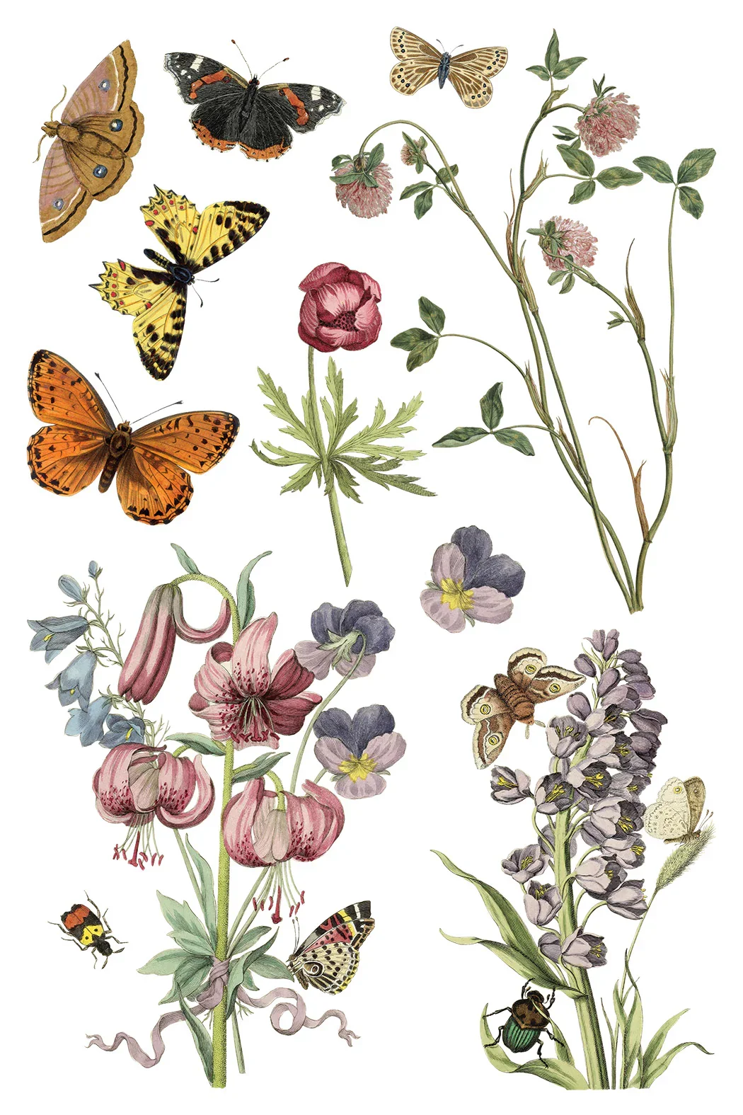 WILDE BLOEMAN  5.webp