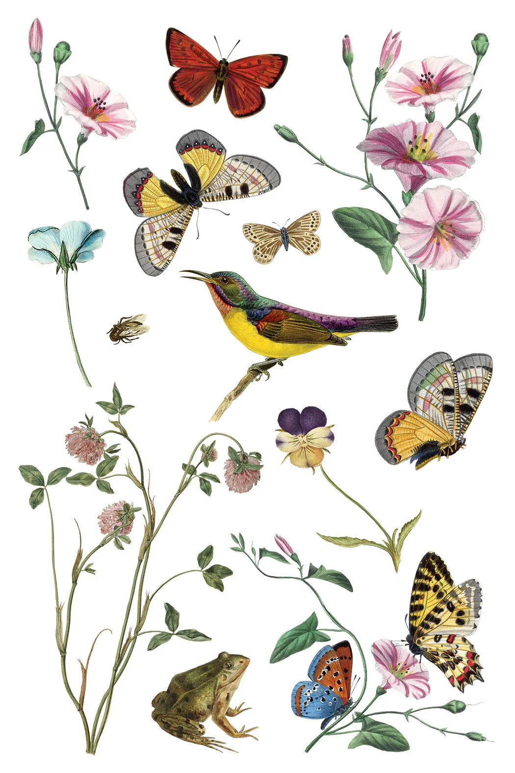 WILDE BLOEMAN  7.webp