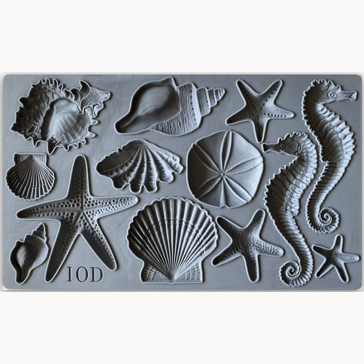 Sea Shells Mould by IOD - Iron Orchid Designs