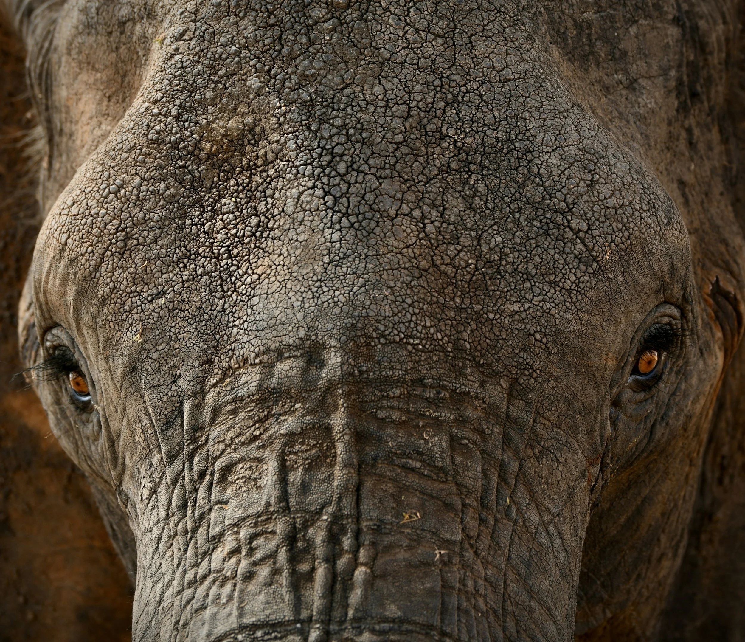 unsplash-image-V1ciKk96zmQ.jpg