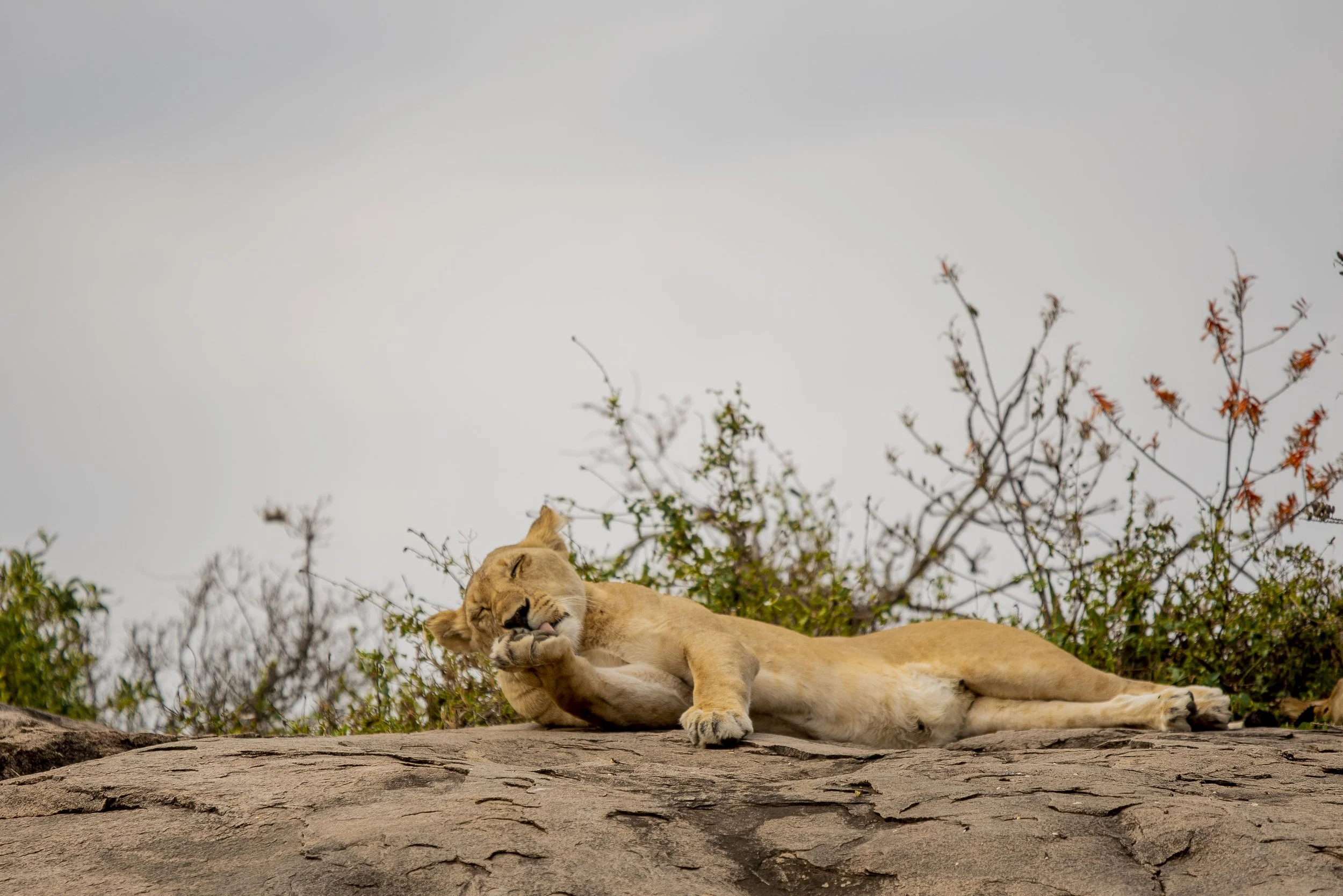 kili climb safaris_123.JPG