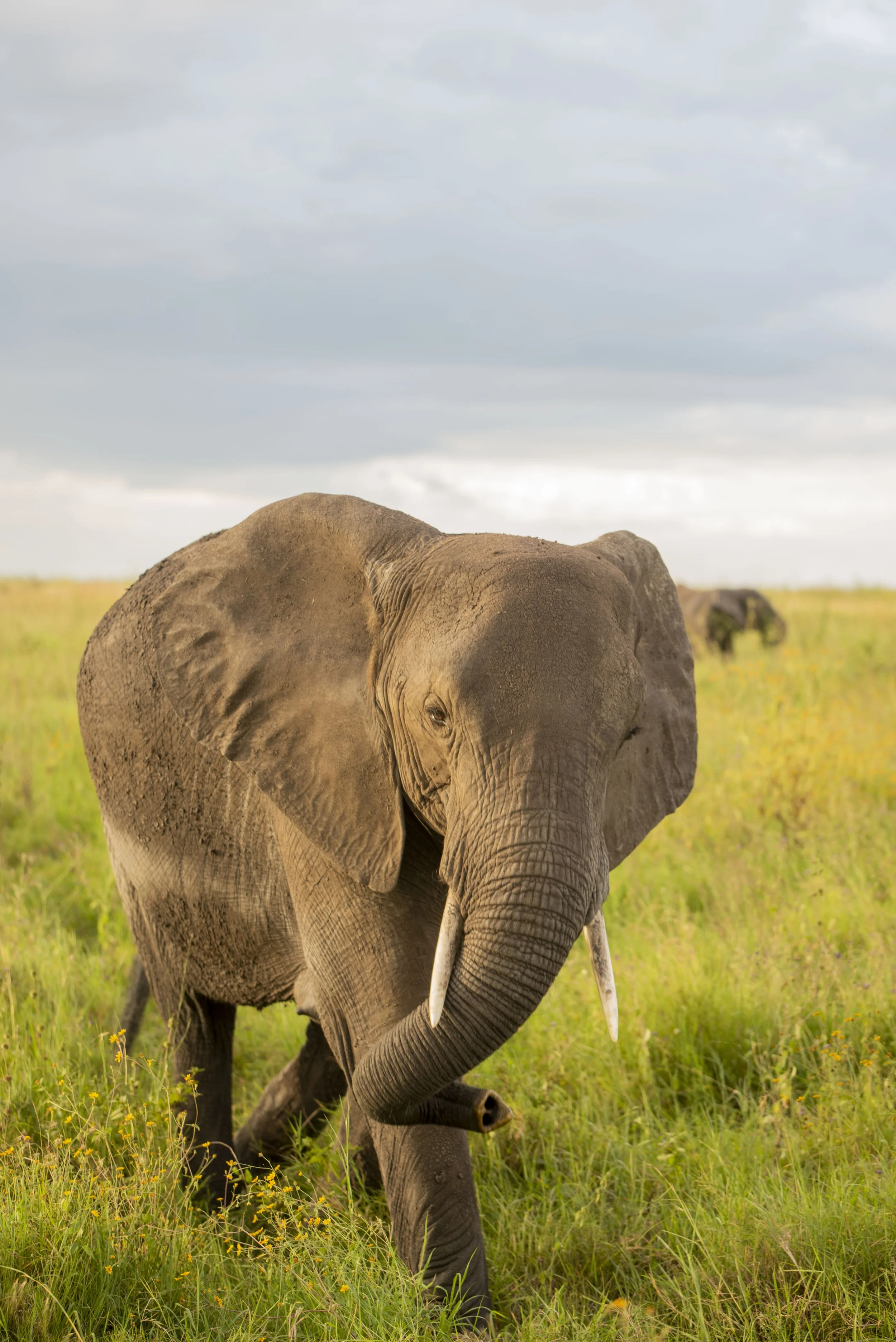 Great Exploration 2_79.JPG