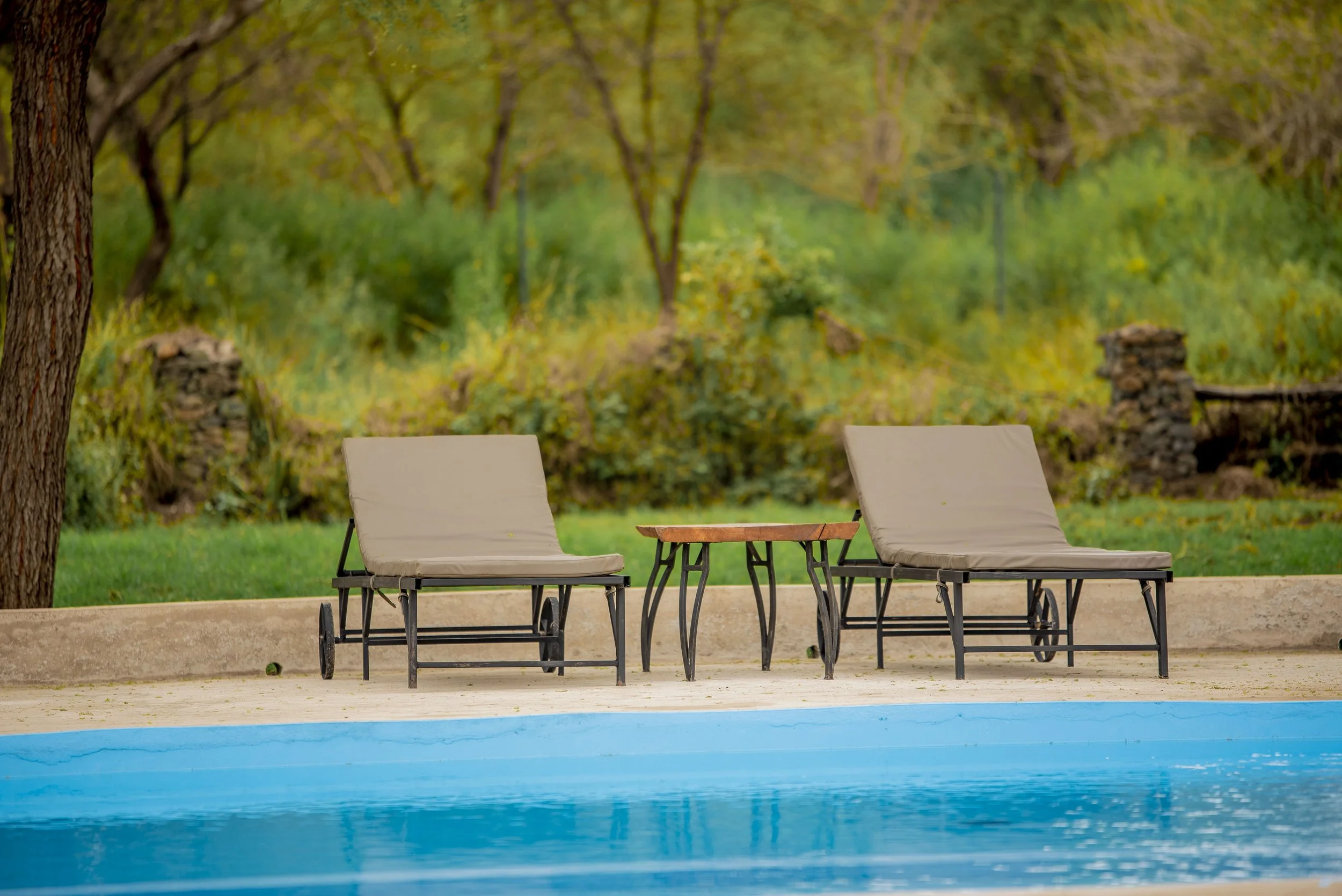 Two beige lounge chairs and a small wooden table next to a swimming pool in a lush outdoor setting with green grass, trees, and stone decorations.