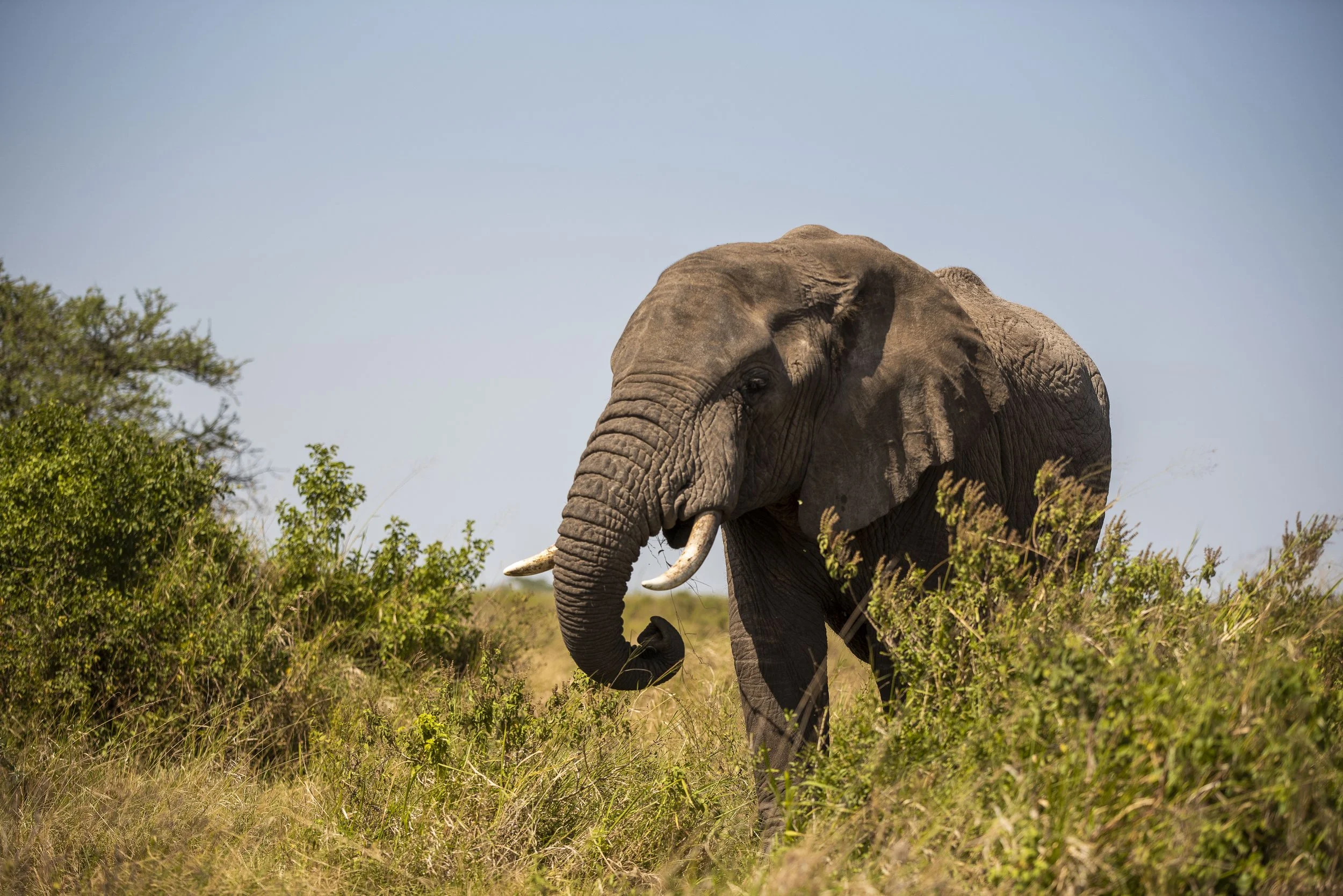 TARANGIRE NATIONAL PARK