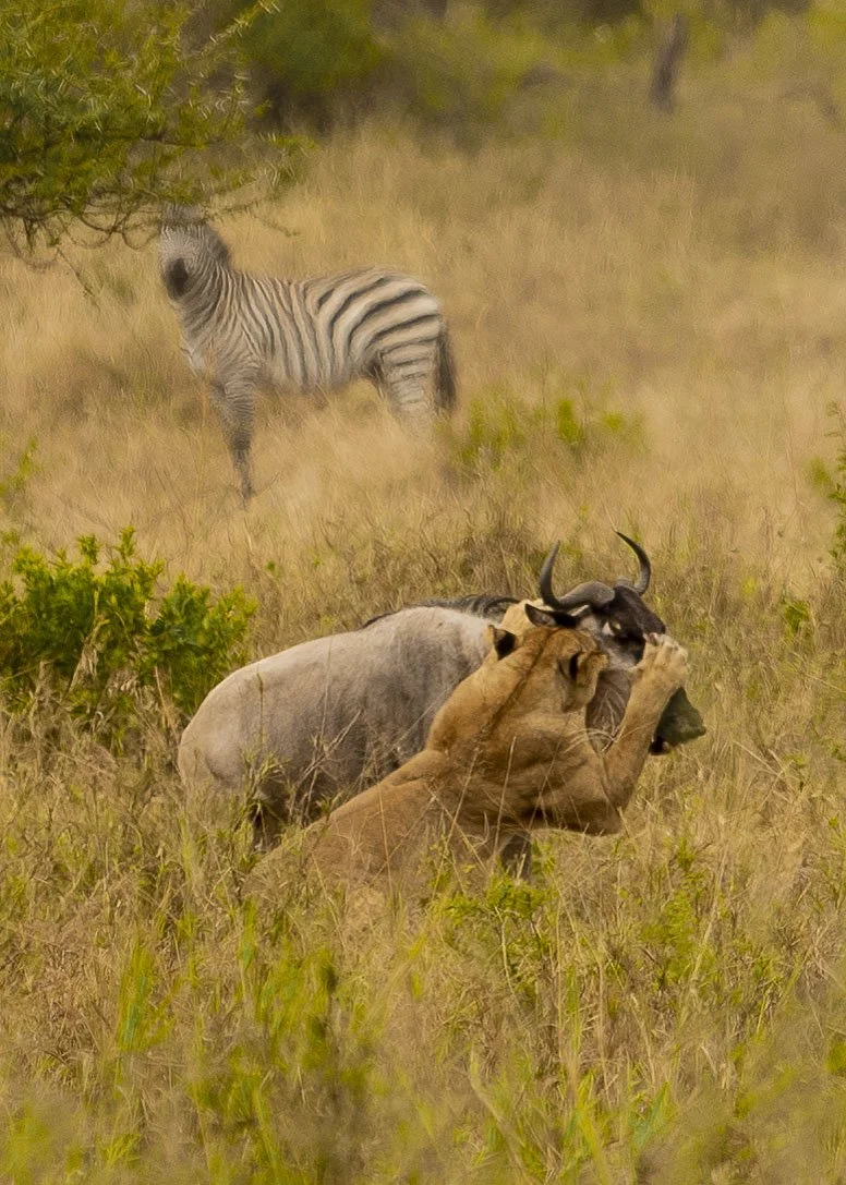 kili climb safaris_64.JPG