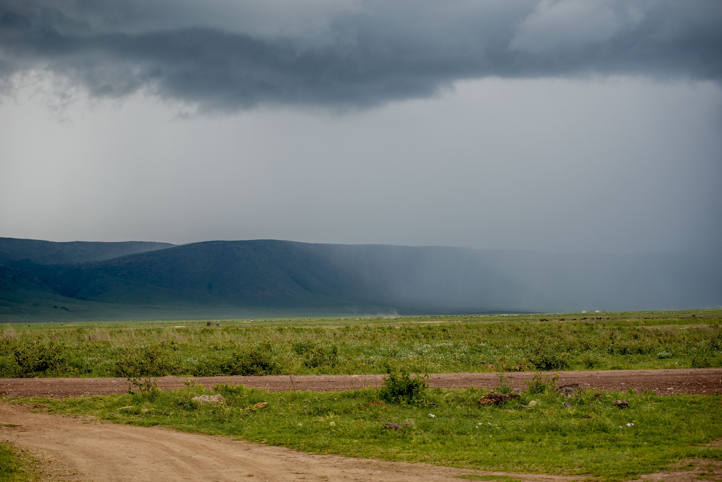 14-Day Tanzania Safari Itinerary