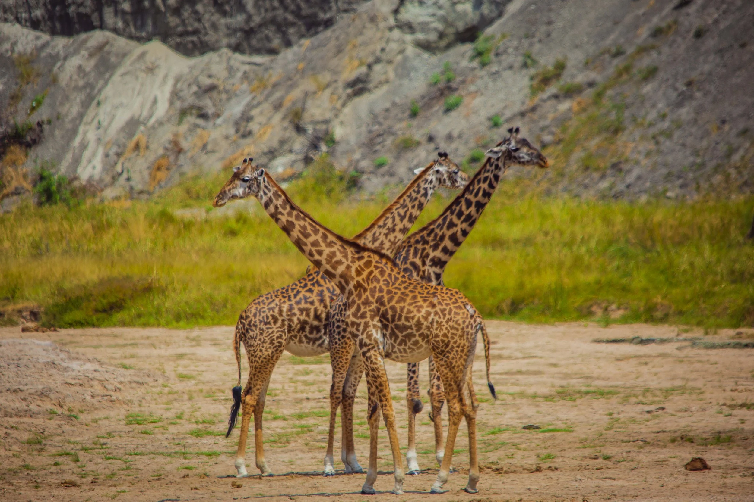 my journey to africa_30.JPG