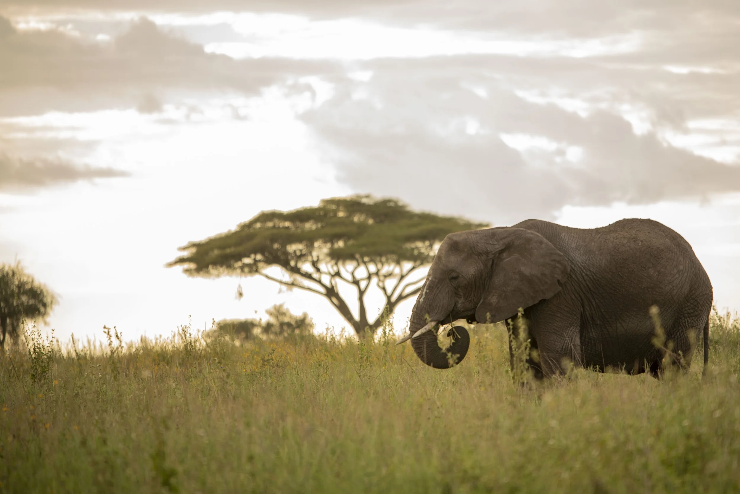 Great Exploration 2_81.JPG