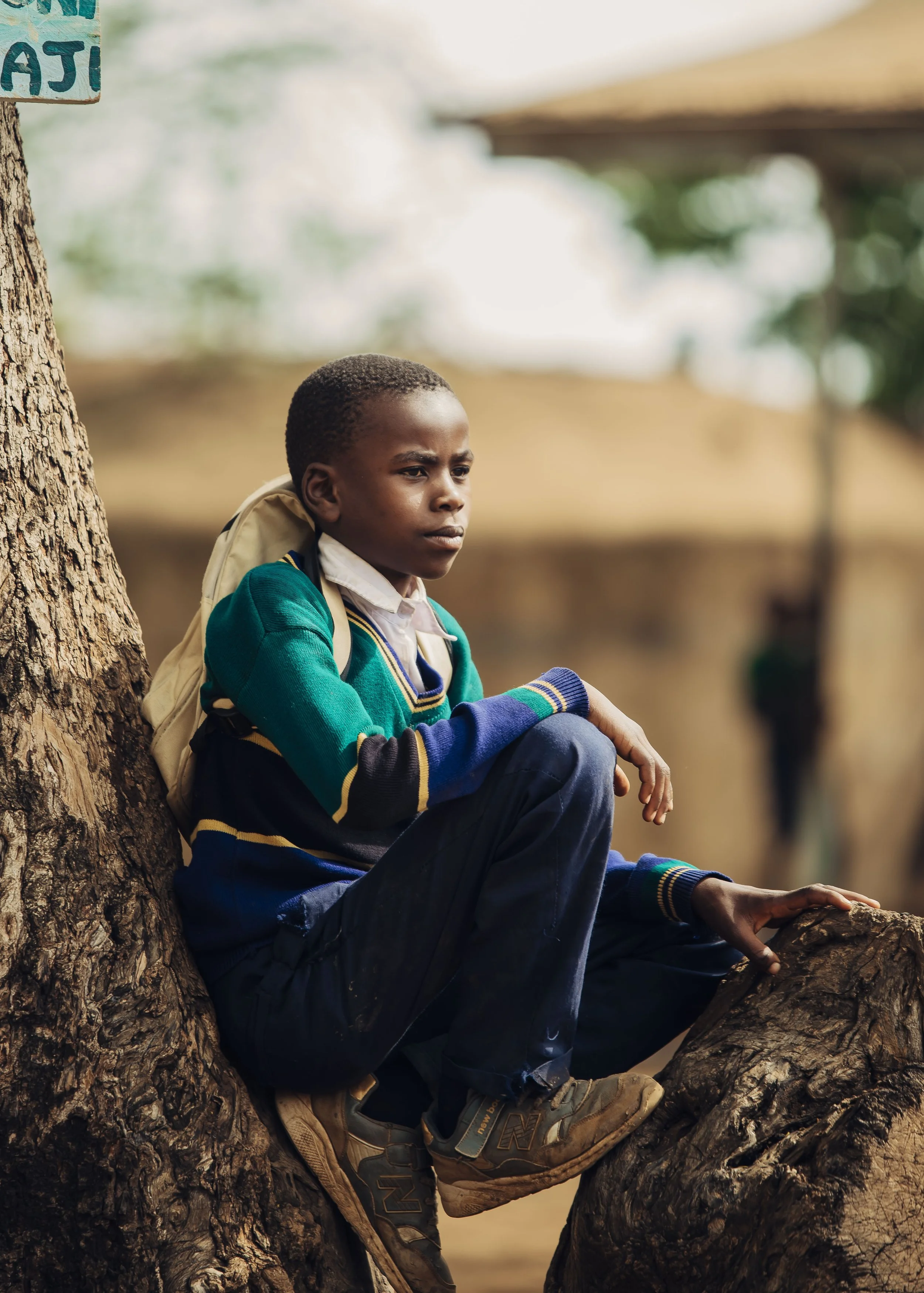 Young boy wearing a green and blue sweater, sitting on a tree stump and leaning against a tree, with a serious expression, carrying a backpack, outdoors with blurred background.