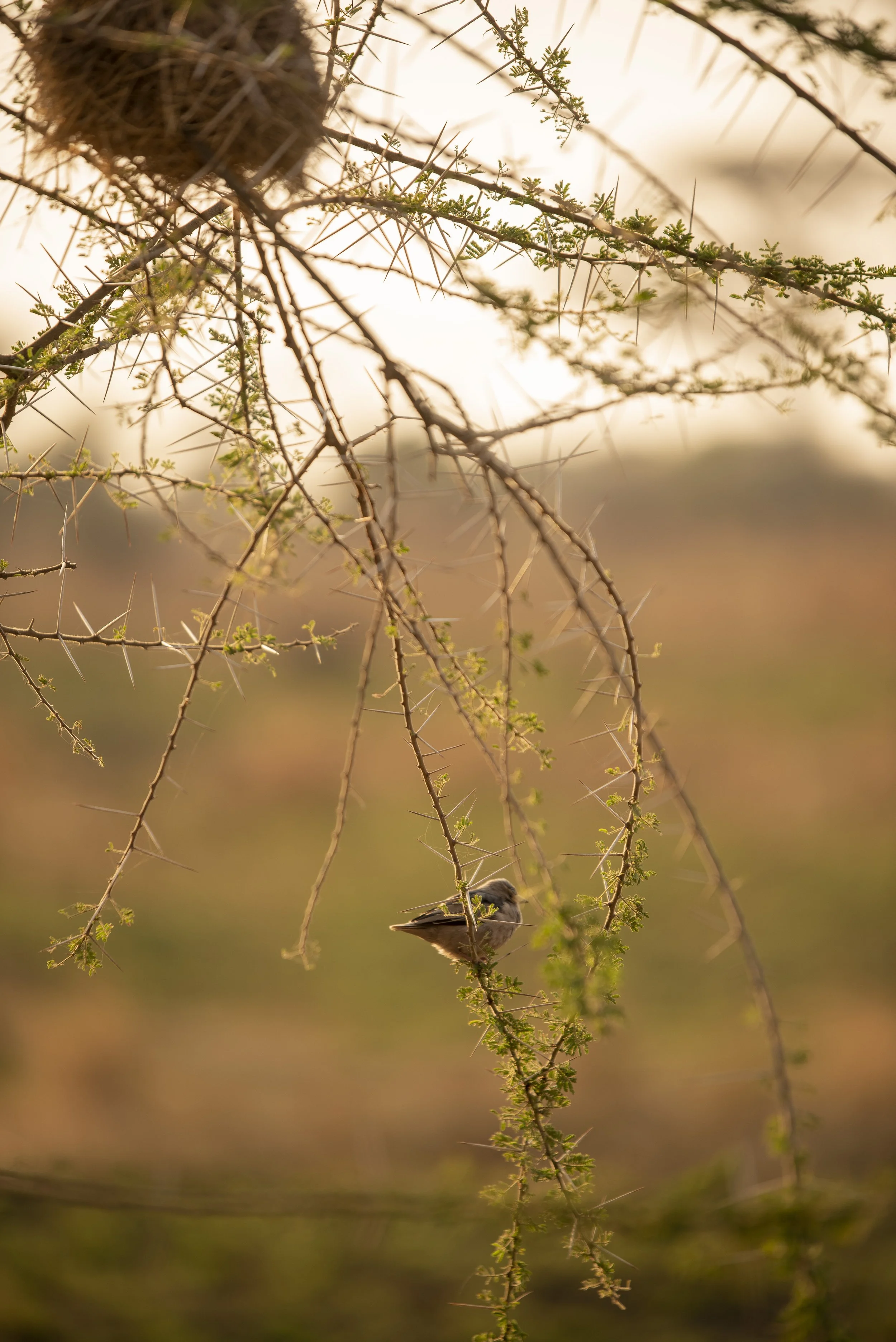 RETREAT LUXURY_39.JPG