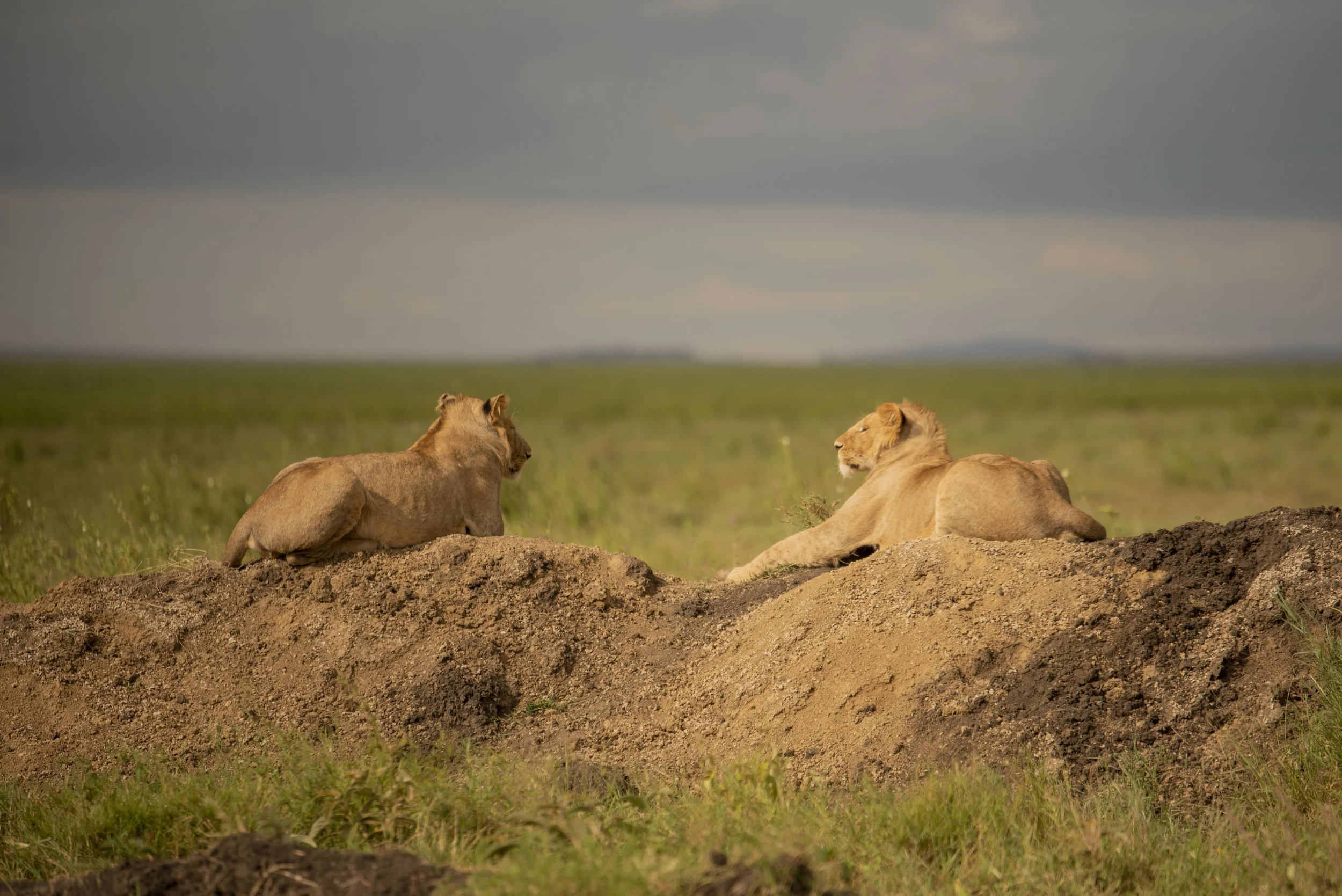 Great Exploration 2_52.JPG