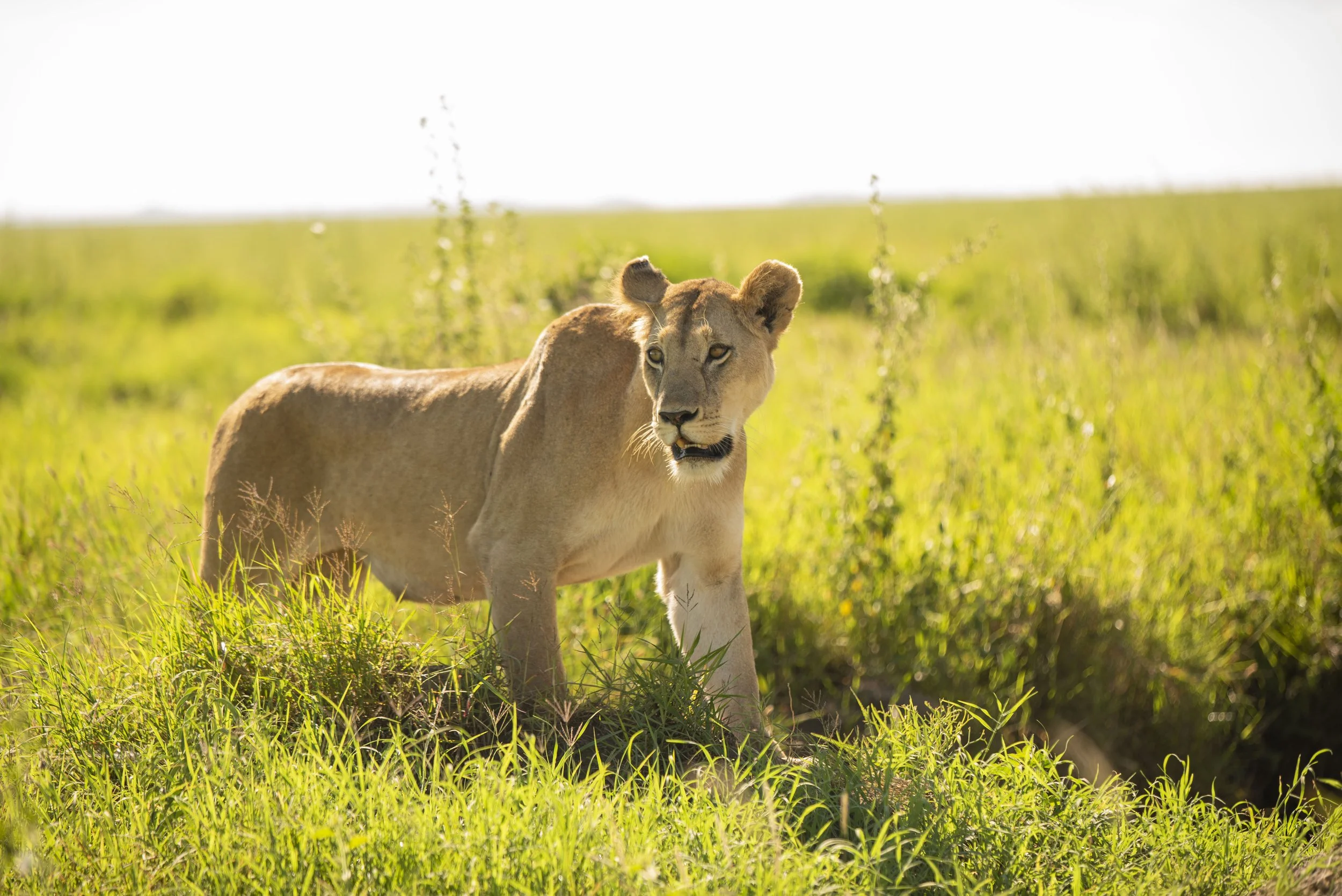 Great exploration_182.JPG