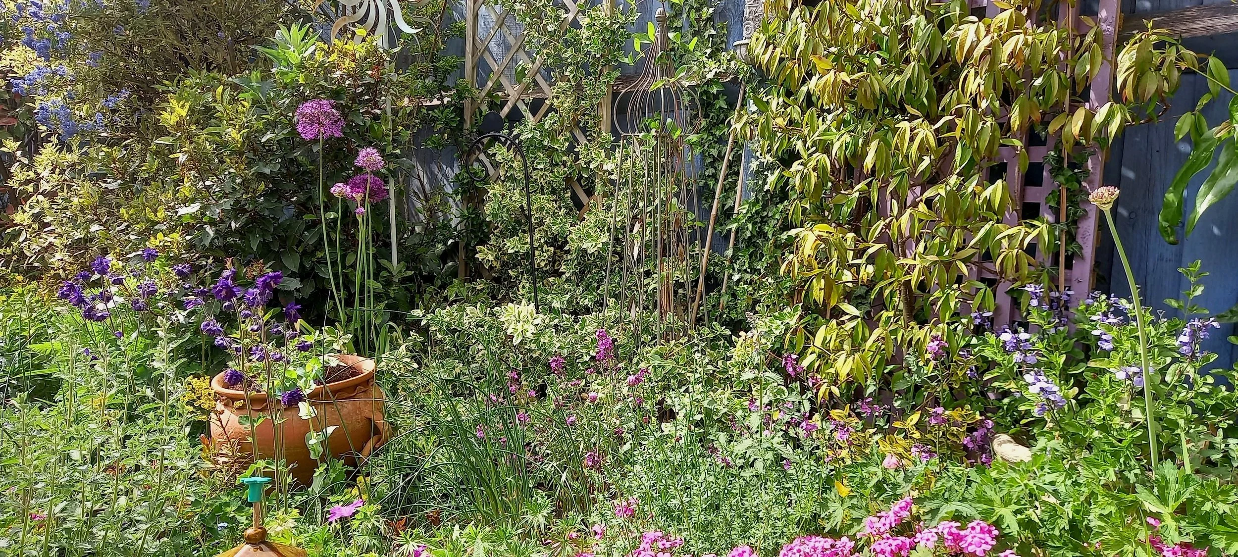 The natural beauty of this garden is enhanced by our planting.