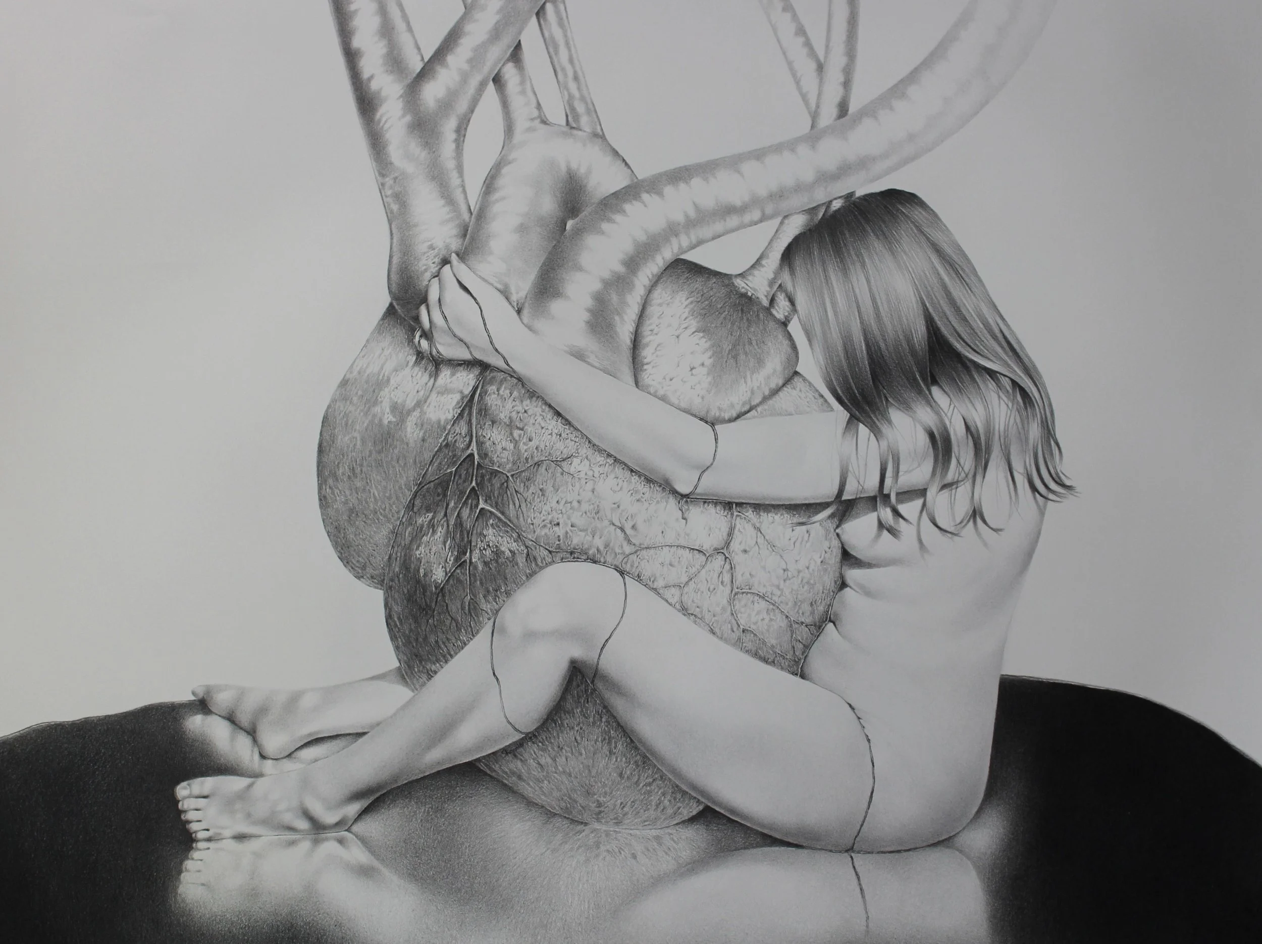 'The Heart' 2026
Pencil on paper
57 x 76 cm