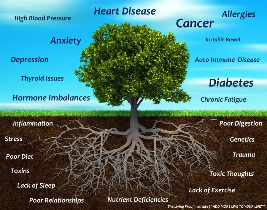 Comprehensive Root Cause Consultation