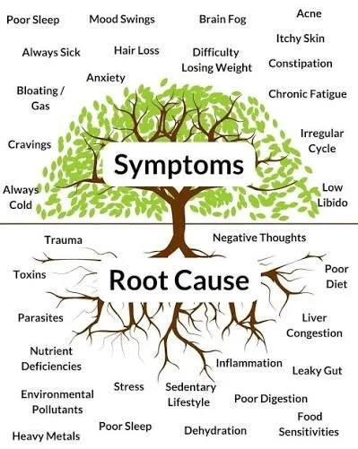 Comprehensive Root Cause Consultation