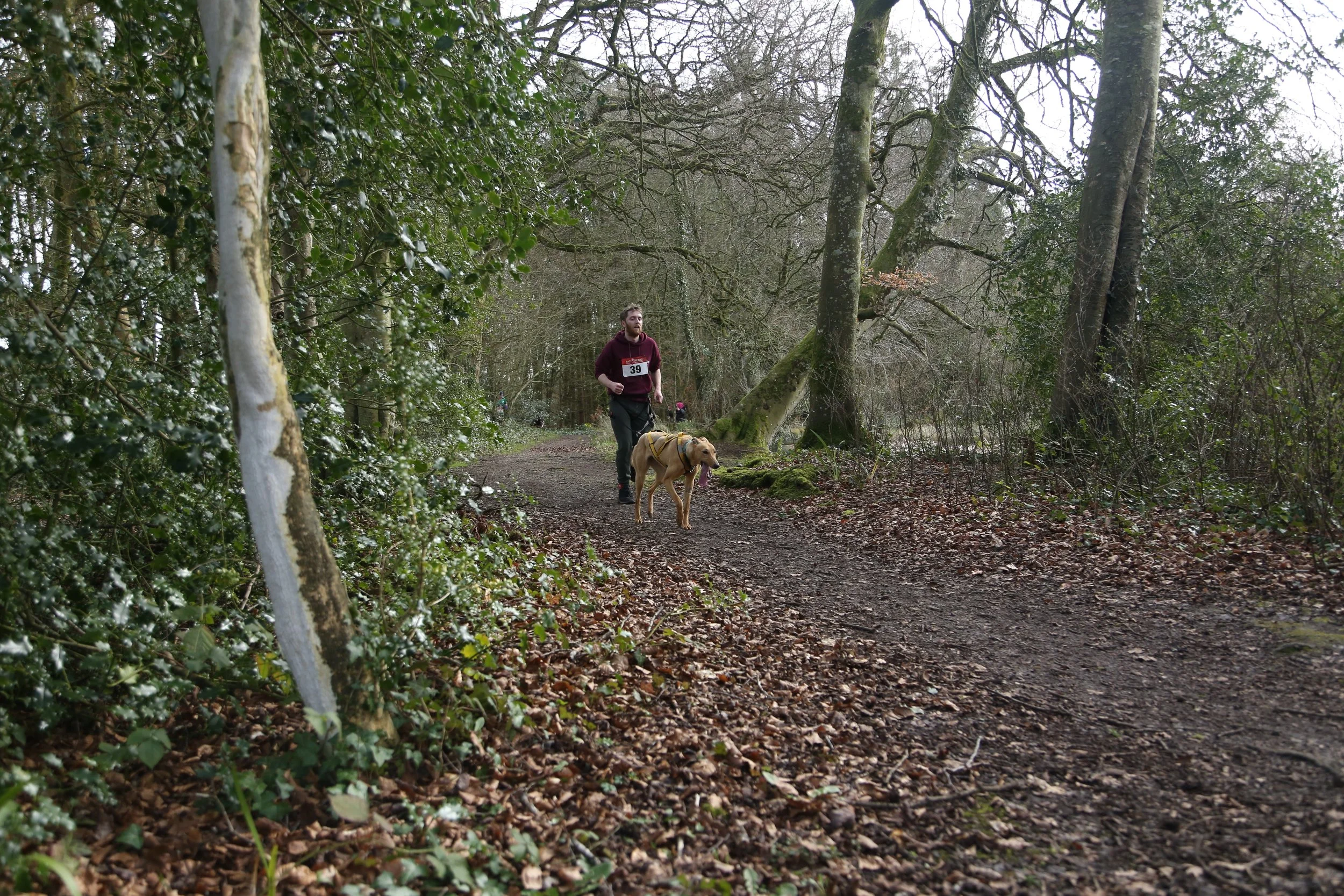 Drewstown__0119.JPG