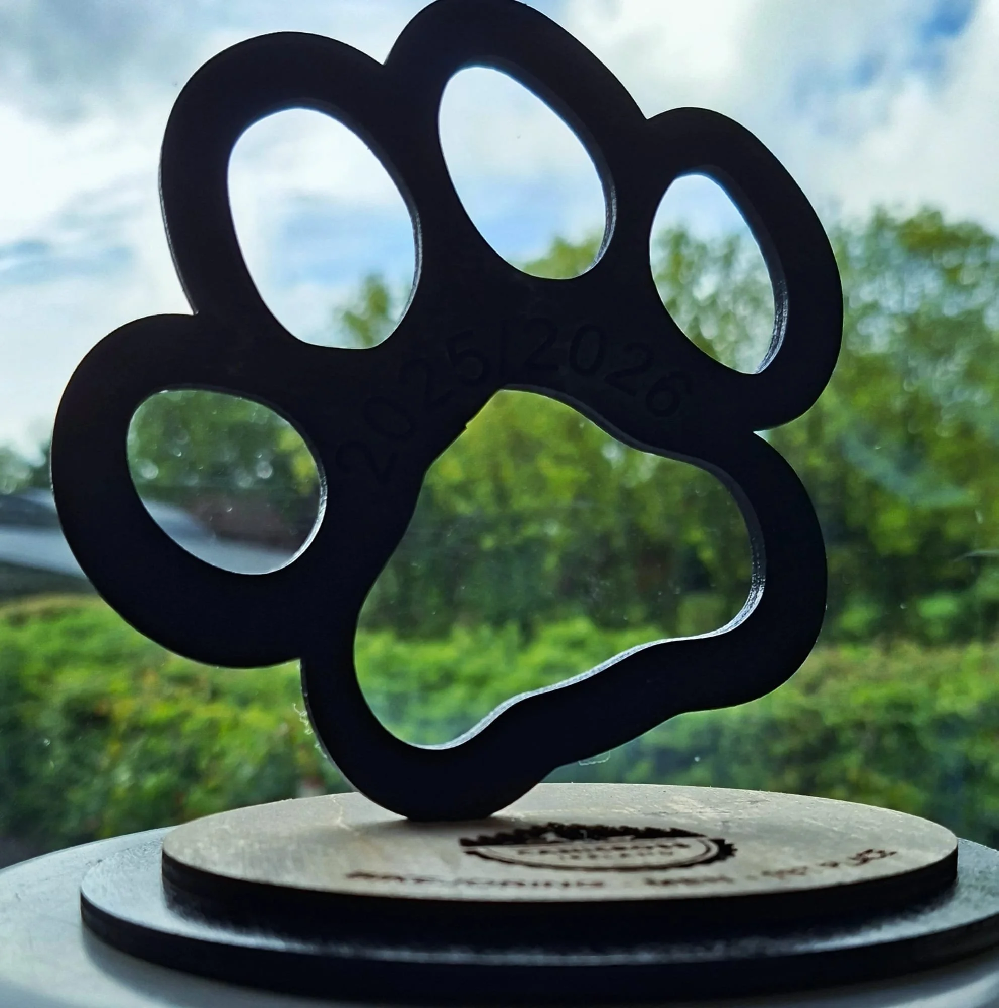 Canicross Ireland 25 / 26 Season results