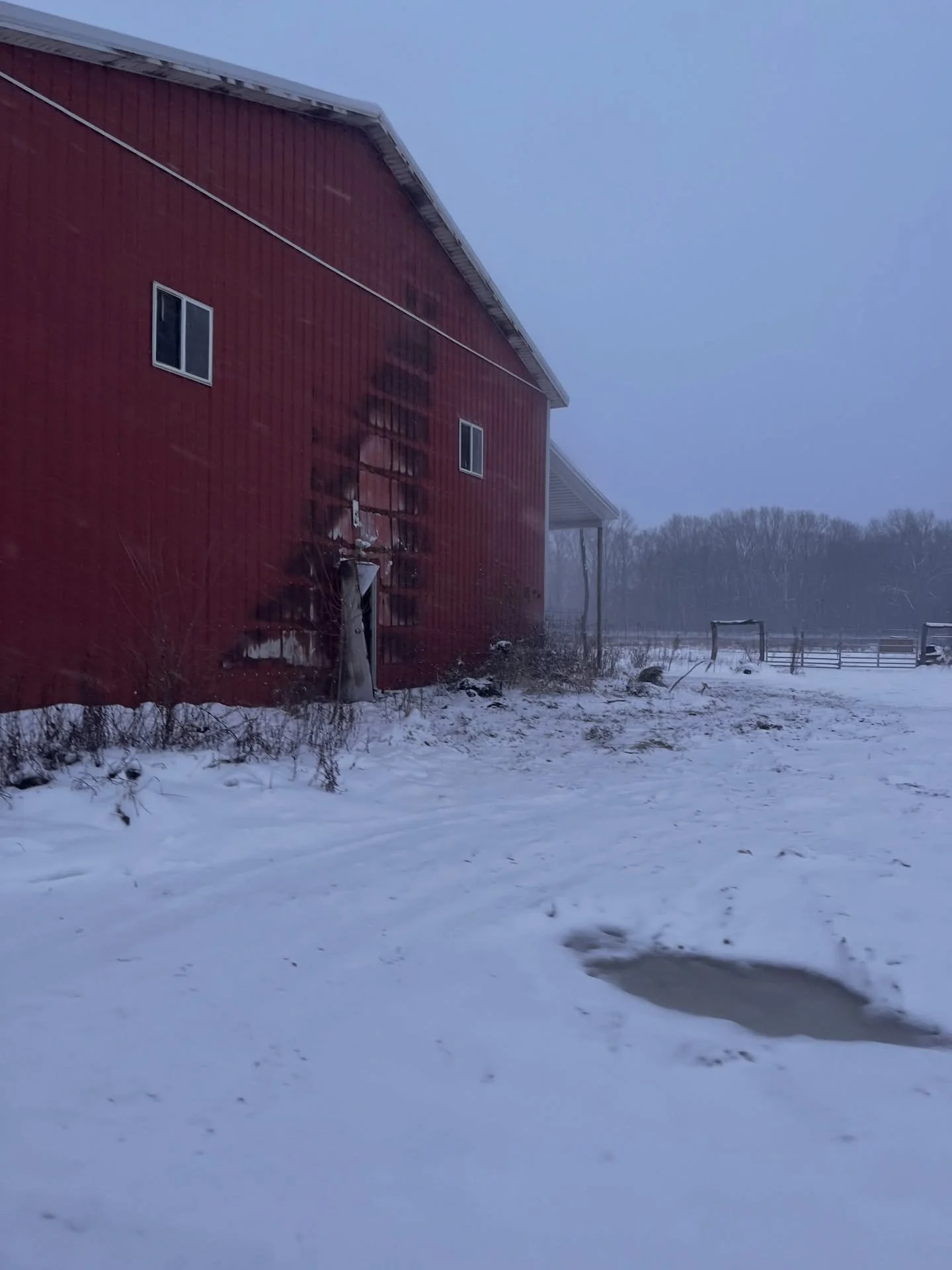Late last night we drove down our driveway home after a roadtrip to visit family and while unpacking the car in the main house, we looked outside to see that our barn had suddenly caught fire. 

While we are indescribably devastated and grieving, we 