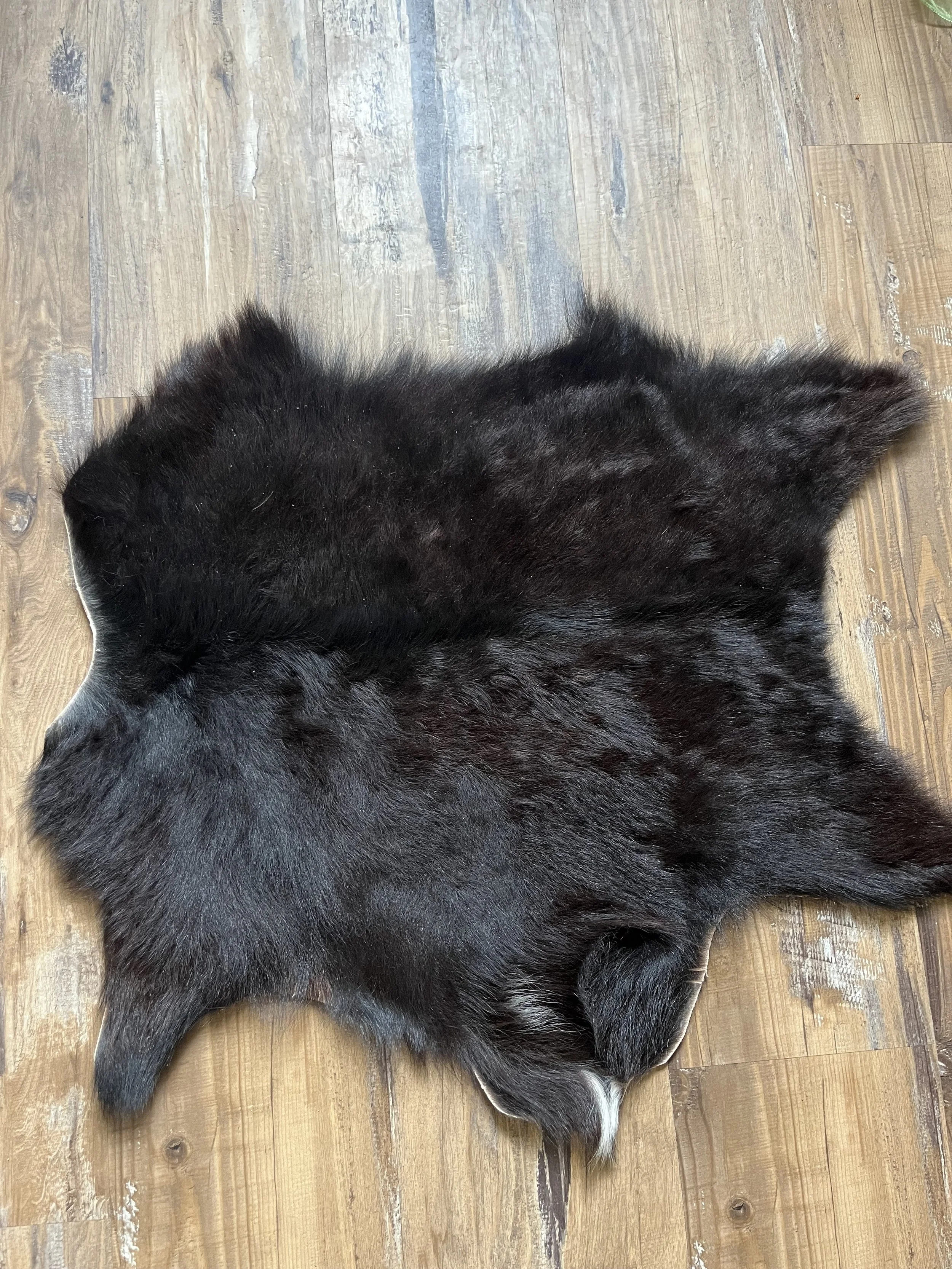 Goat Pelt