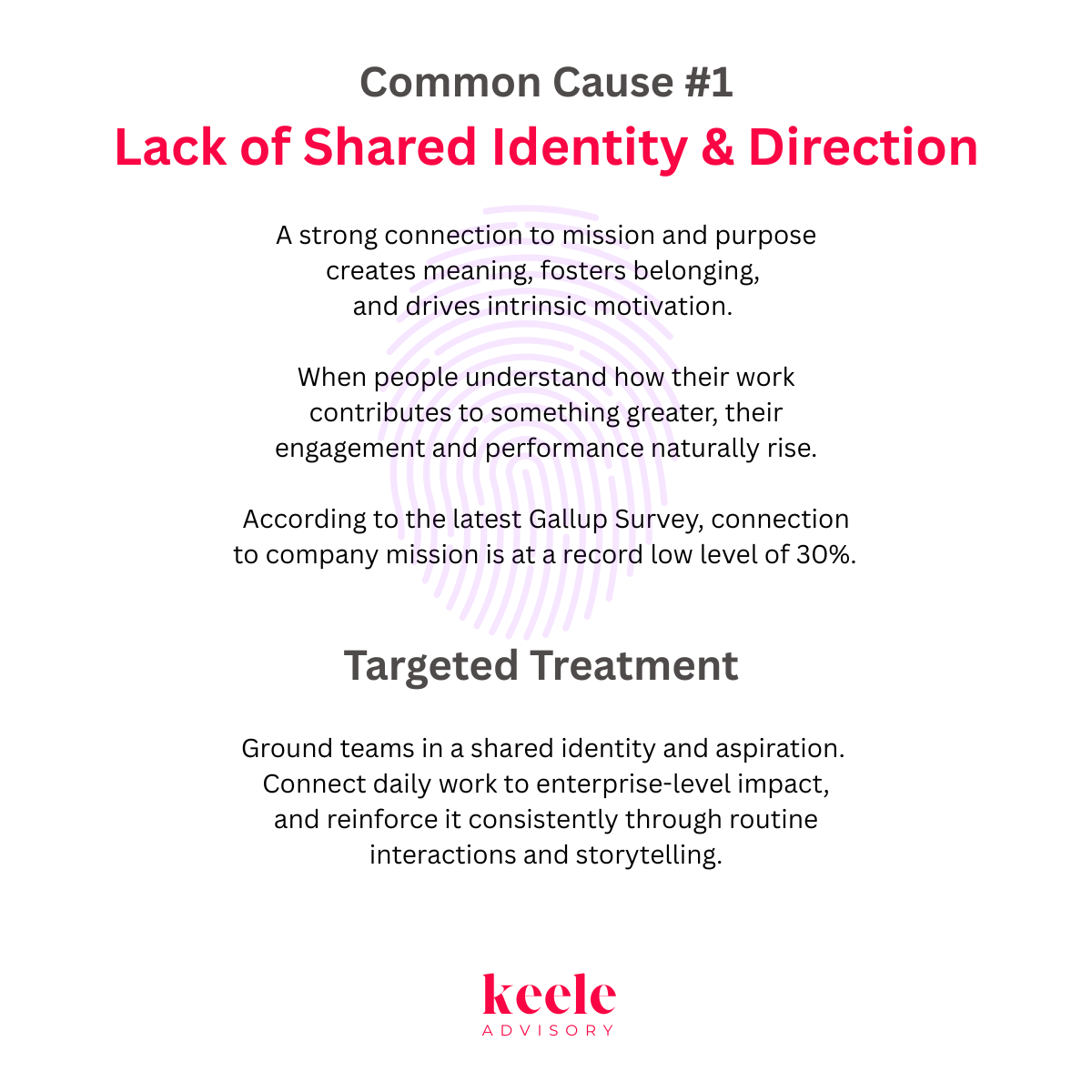 Tribalism Cause #1 - Lack of Shared Identity & Direction.png