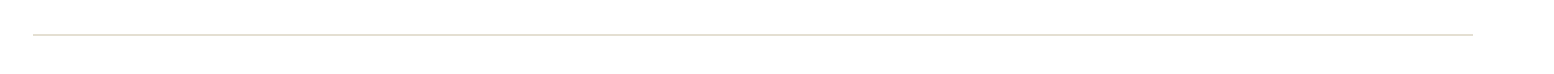 faint divider line