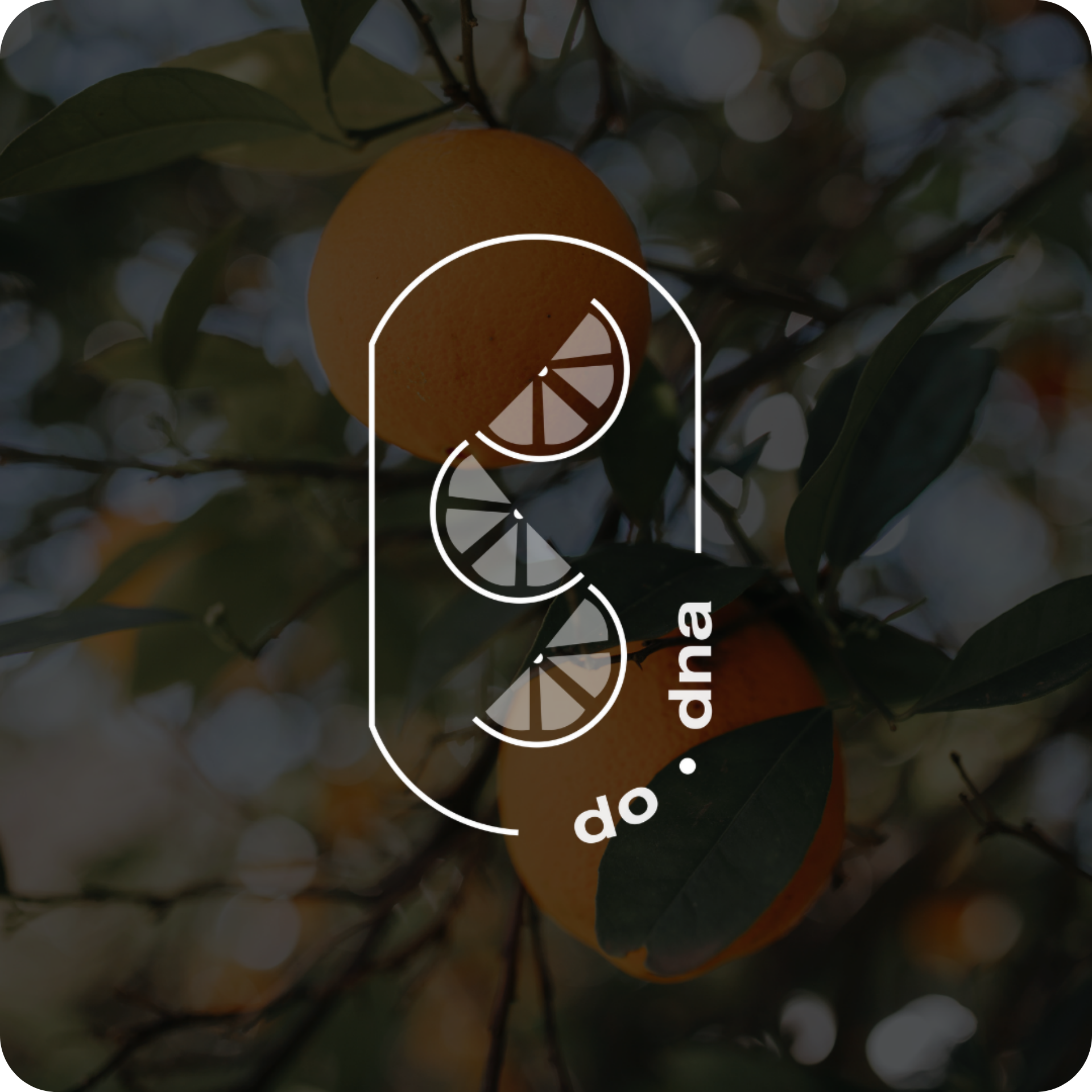 logo creation