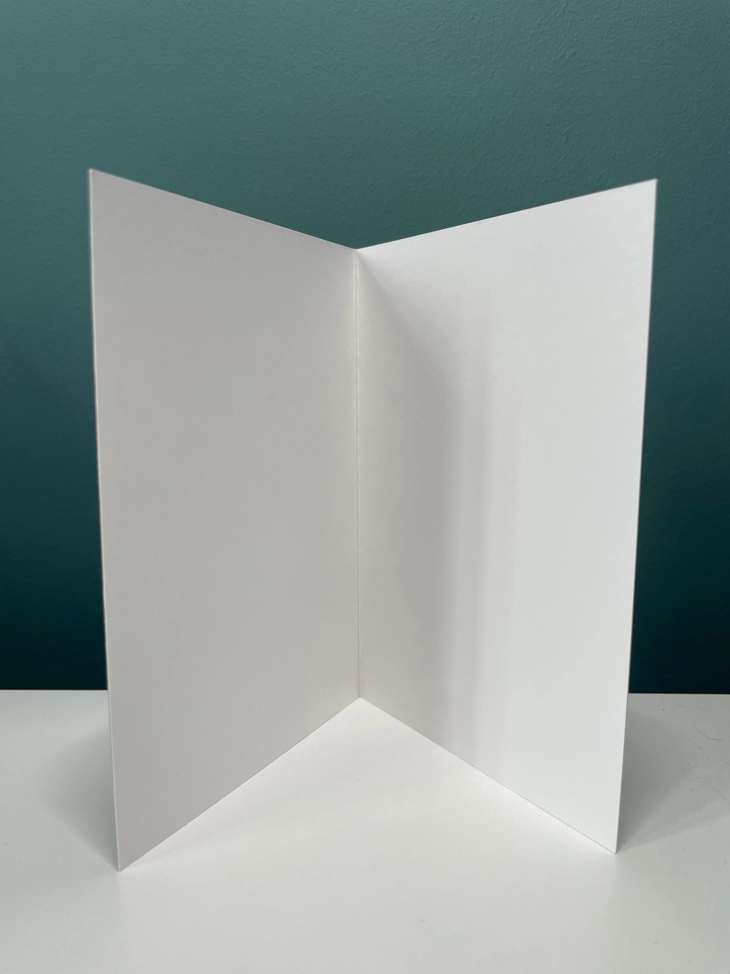 no-advice-no-platitudes-card-blank-inside.jpeg