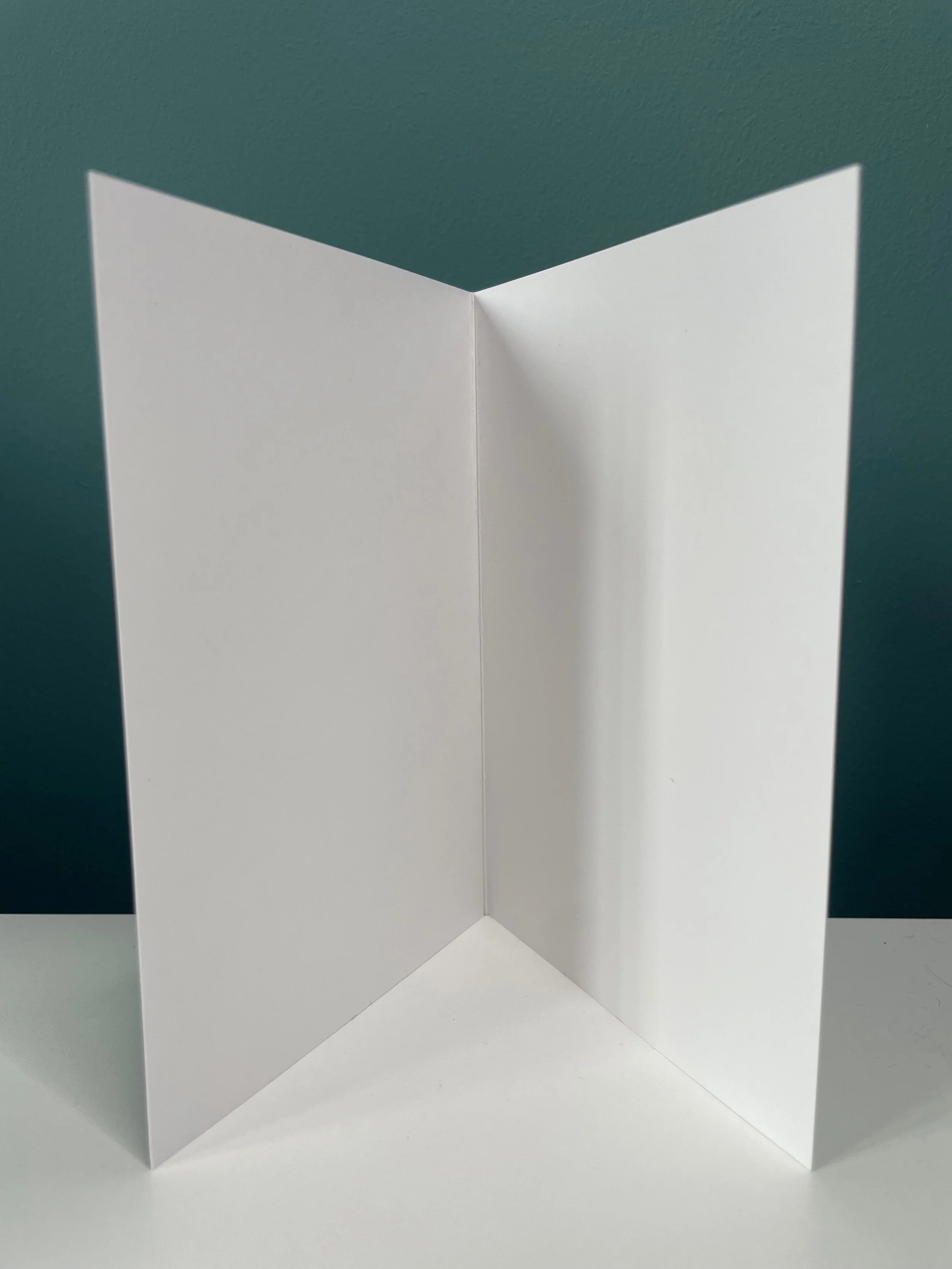 I wish this were a different card blank inside.jpeg