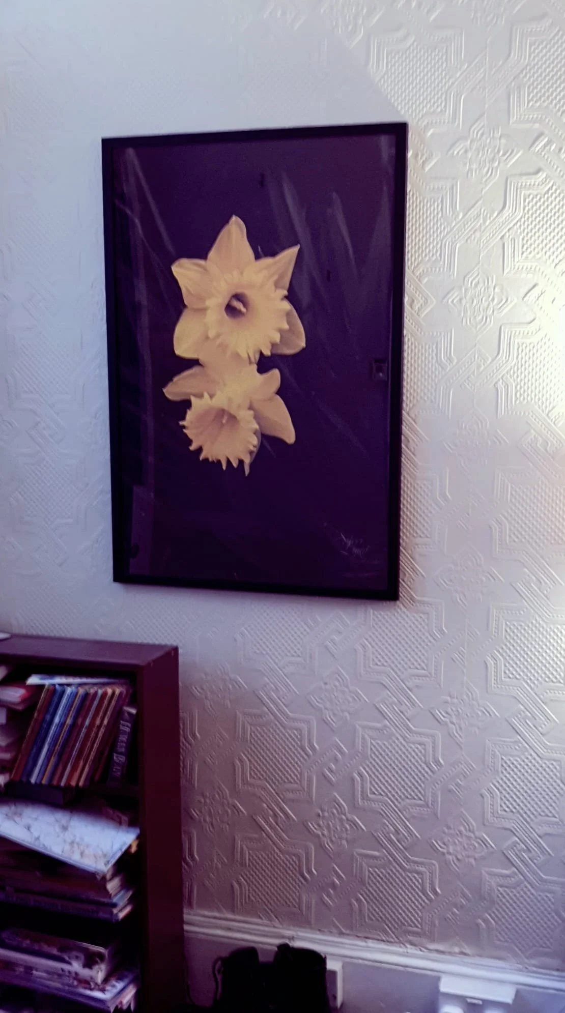 Framed picture of white daffodils hanging on a wall with textured white wallpaper